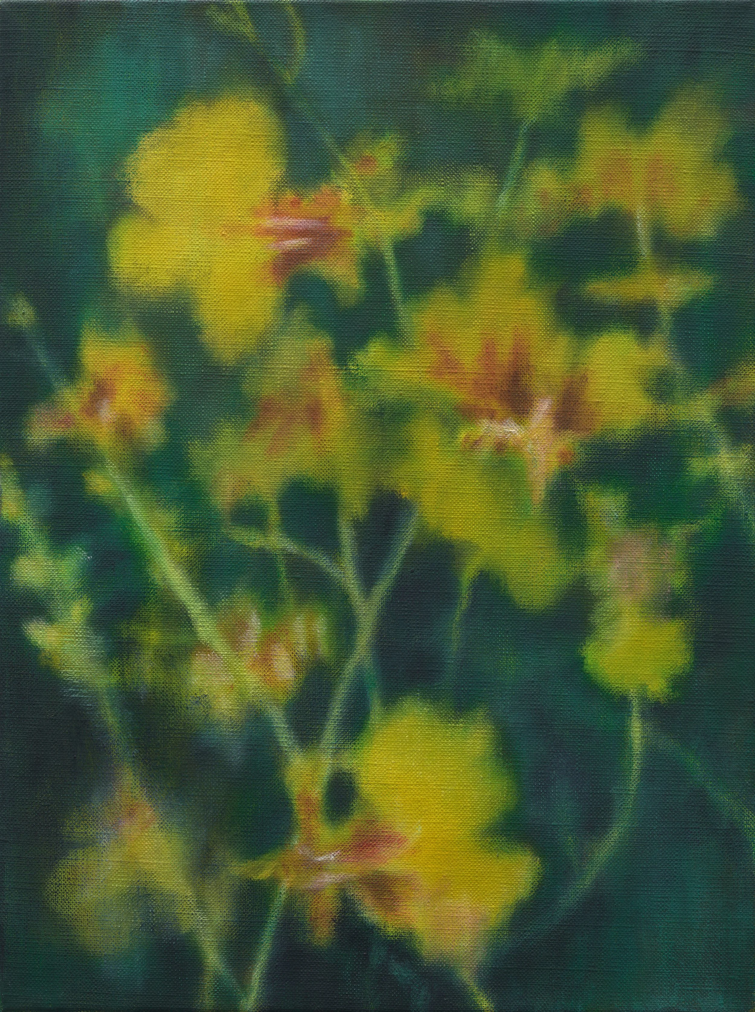   Singapore orchid II  2025 oil on linen 41 x 31 cm 