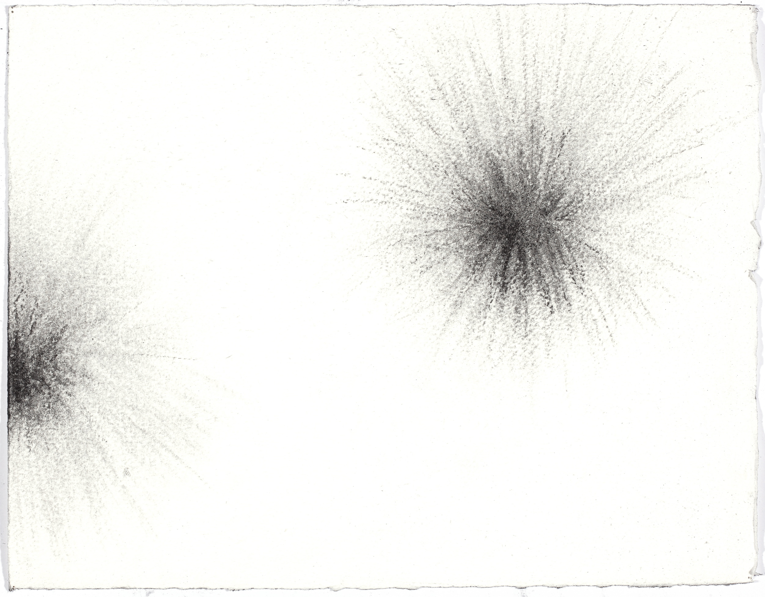  charcoal on paper, 26.5 x 33cm,&nbsp;collection The Art Gallery of New South Wales 