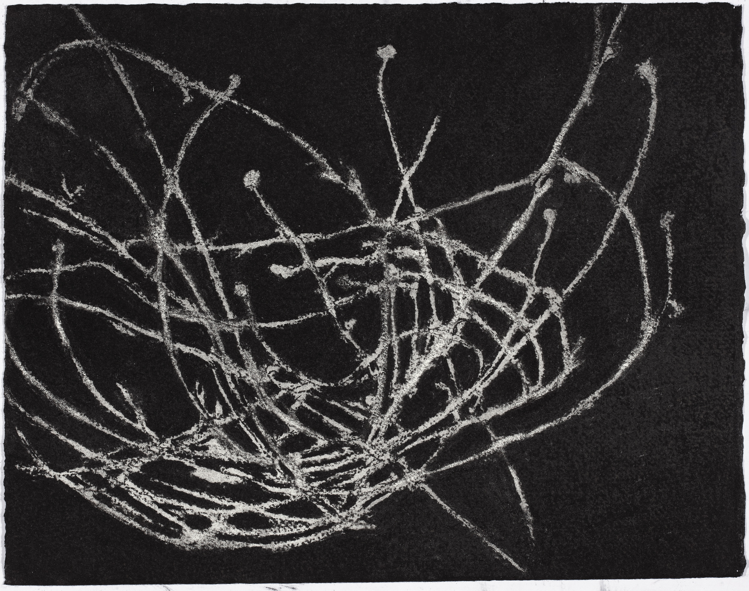  charcoal on paper, 26.5 x 33cm,&nbsp;collection The Art Gallery of New South Wales 