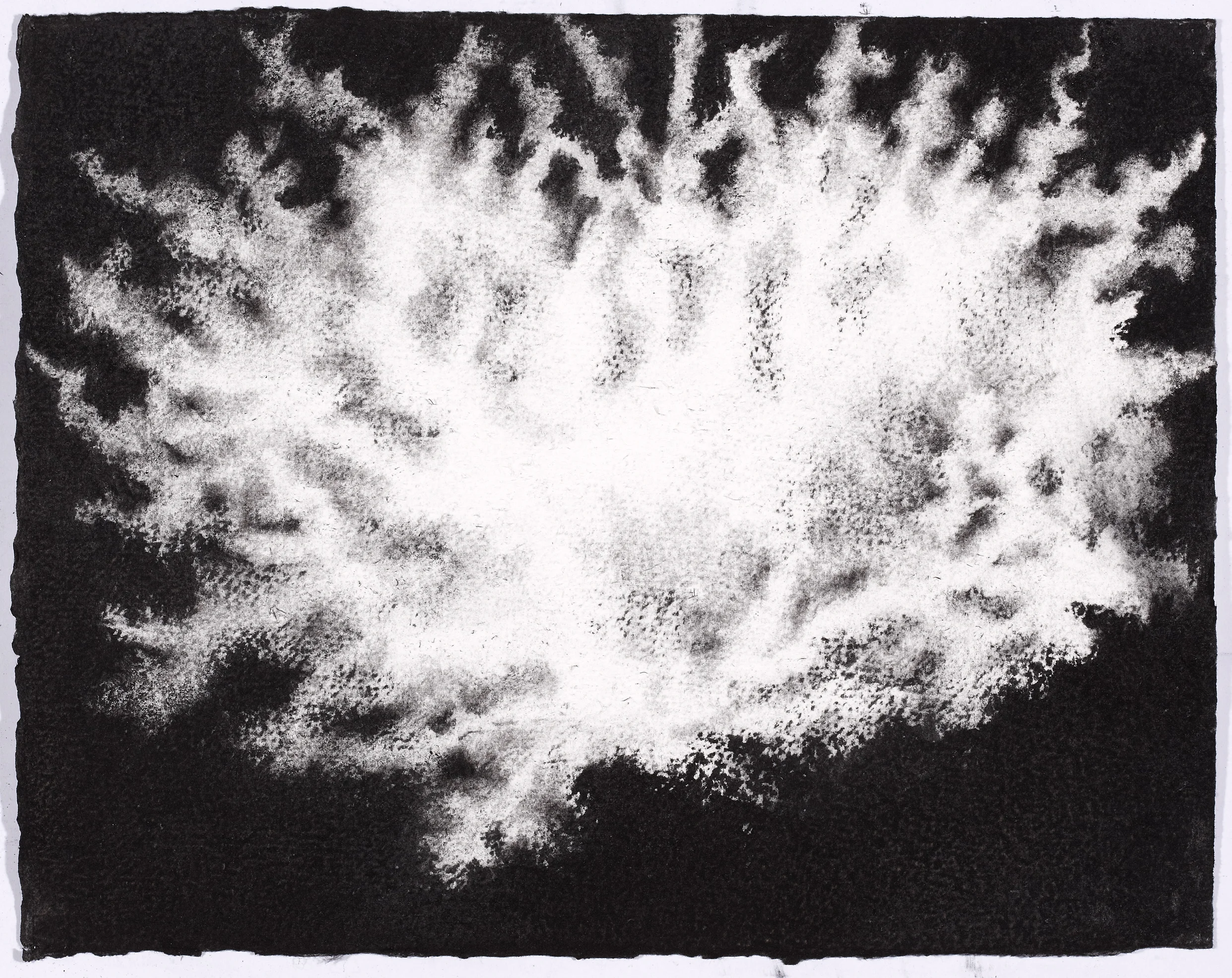 charcoal on paper, 26.5 x 33cm, collection The Art Gallery of New South Wales