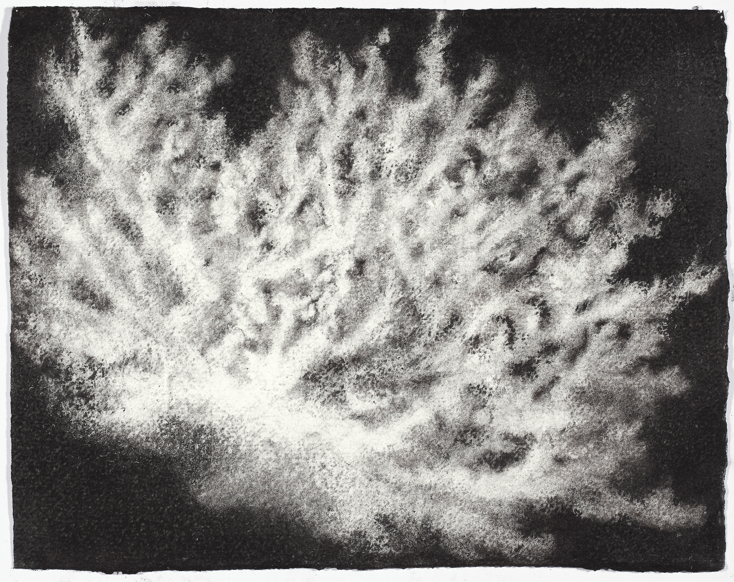  charcoal on paper, 26.5 x 33cm,&nbsp;collection The Art Gallery of New South Wales 