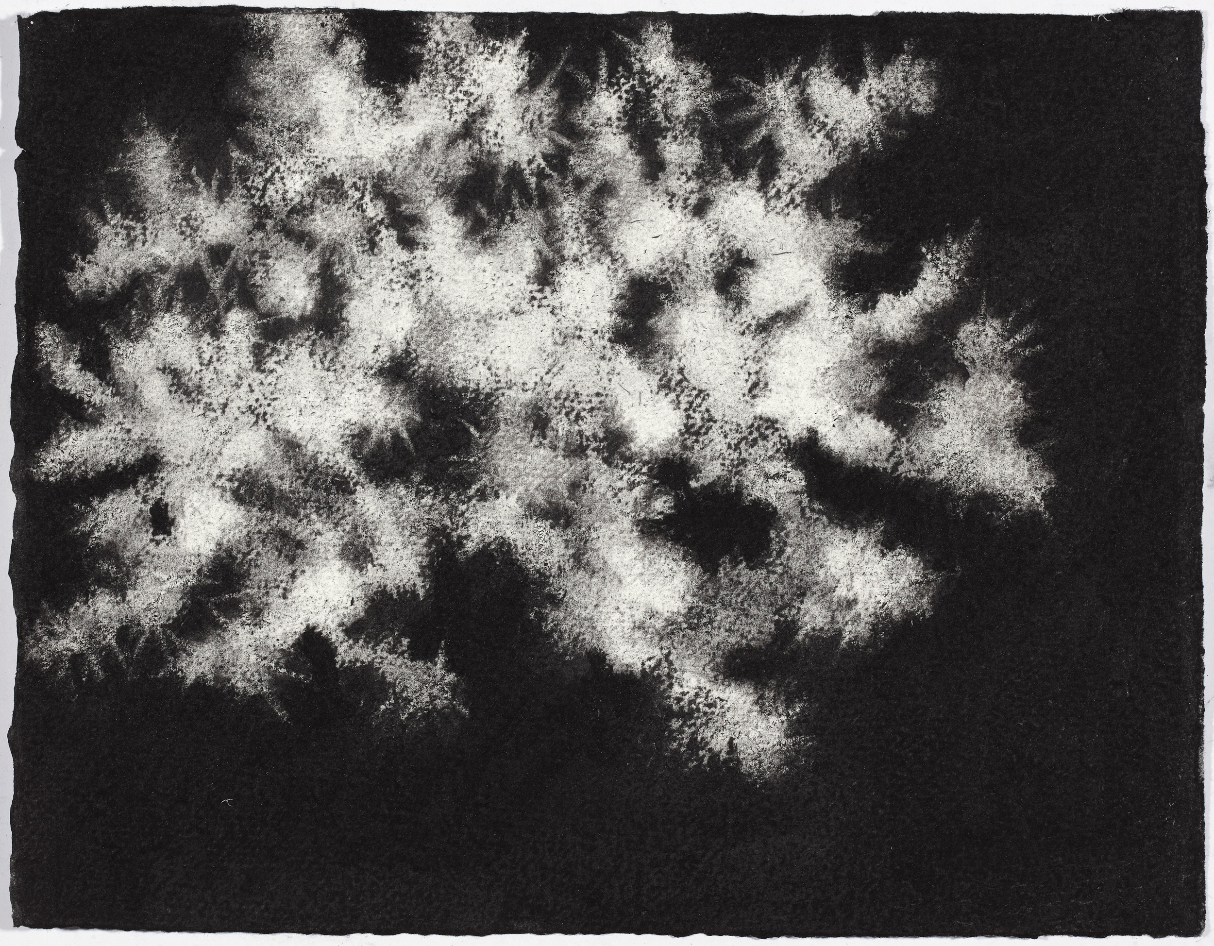  charcoal on paper, 26.5 x 33cm,&nbsp;collection The Art Gallery of New South Wales 