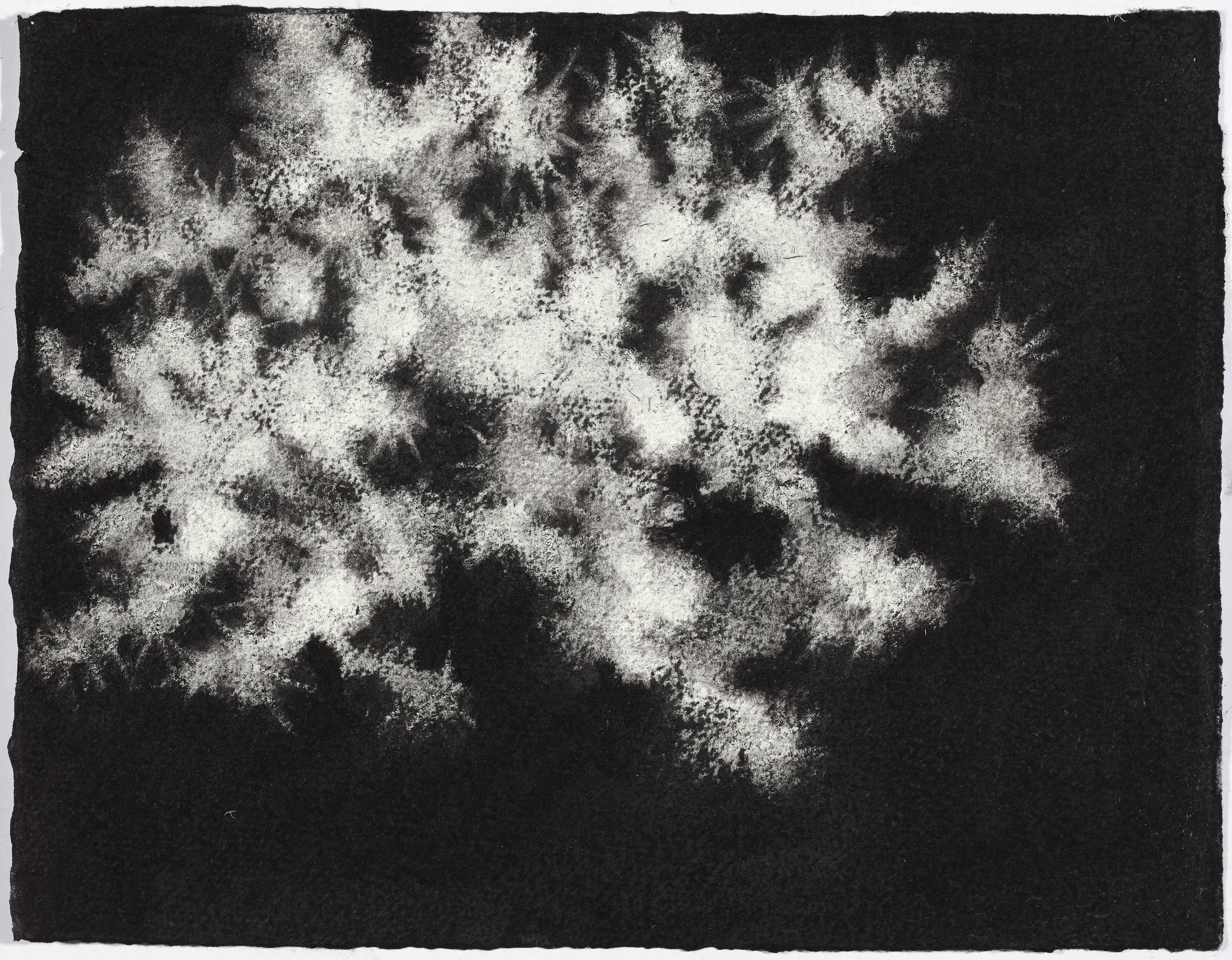 charcoal on paper, 26.5 x 33cm, collection The Art Gallery of New South Wales