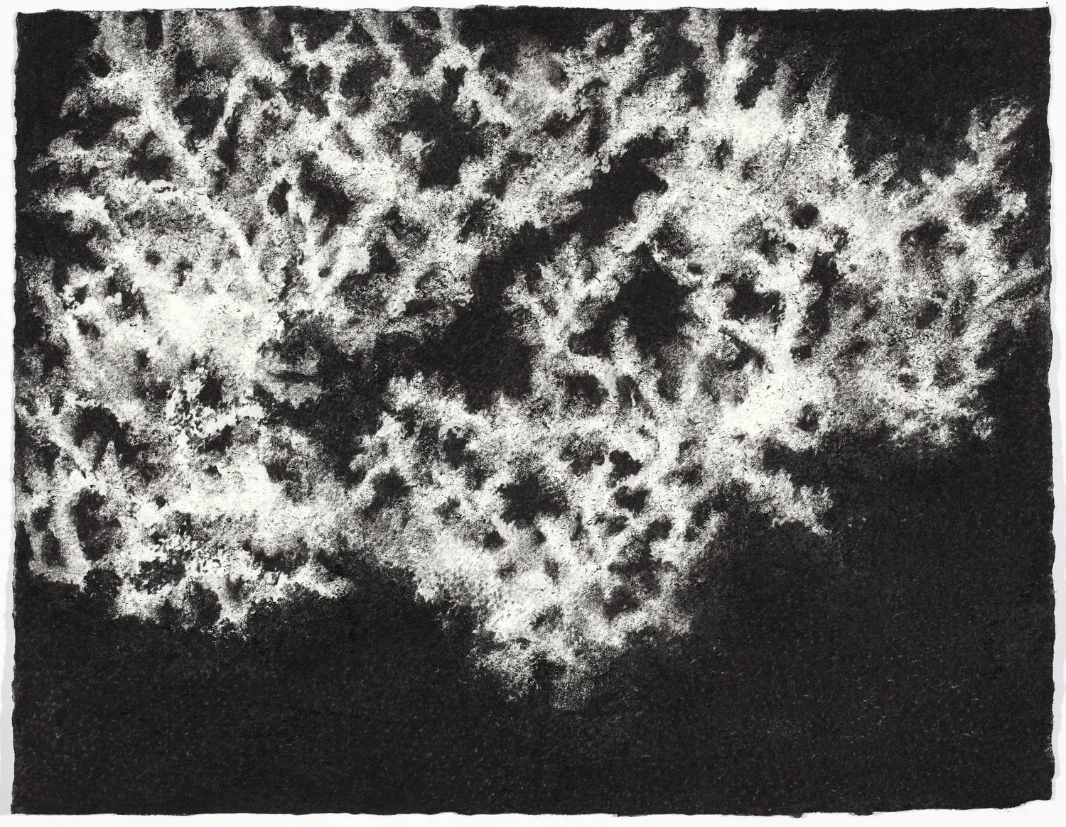 charcoal on paper, 26.5 x 33cm, collection The Art Gallery of New South Wales