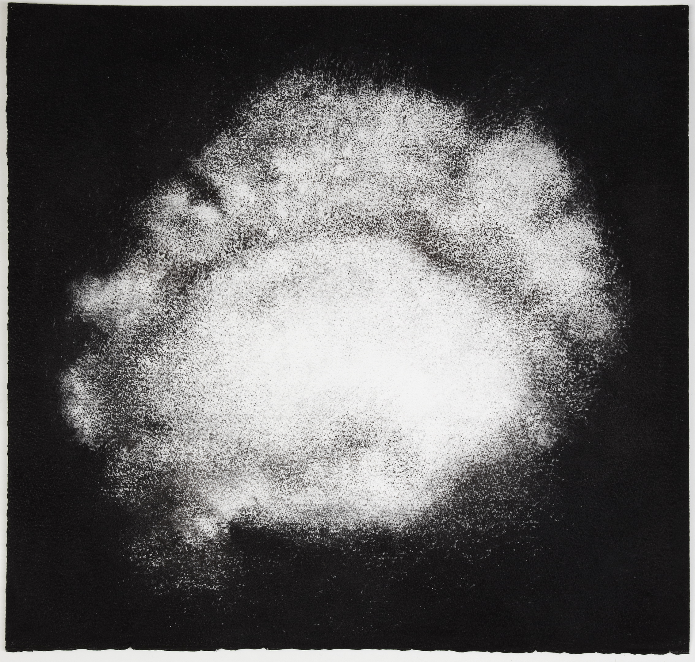  Sea sponge, 2012,&nbsp;charcoal on paper, 57 x 60 cm 