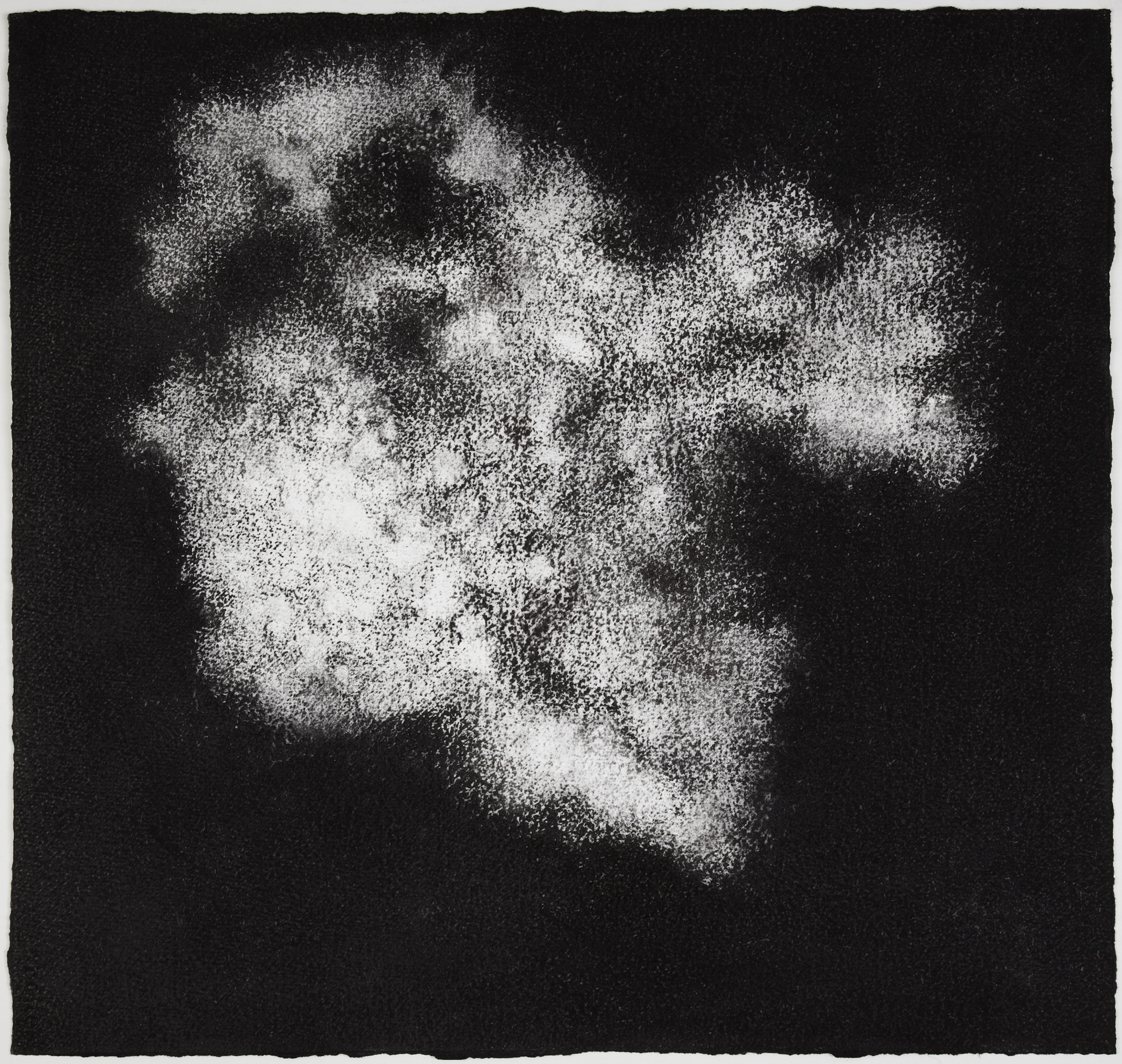  Sea sponge, 2012,&nbsp;charcoal on paper, 57 x 60 cm 