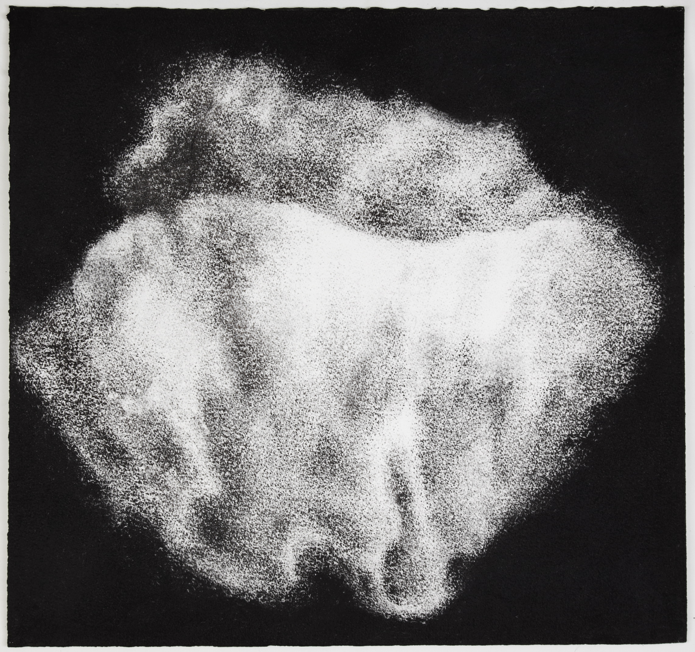  Sea sponge, 2012,&nbsp;charcoal on paper, 57 x 60 cm 