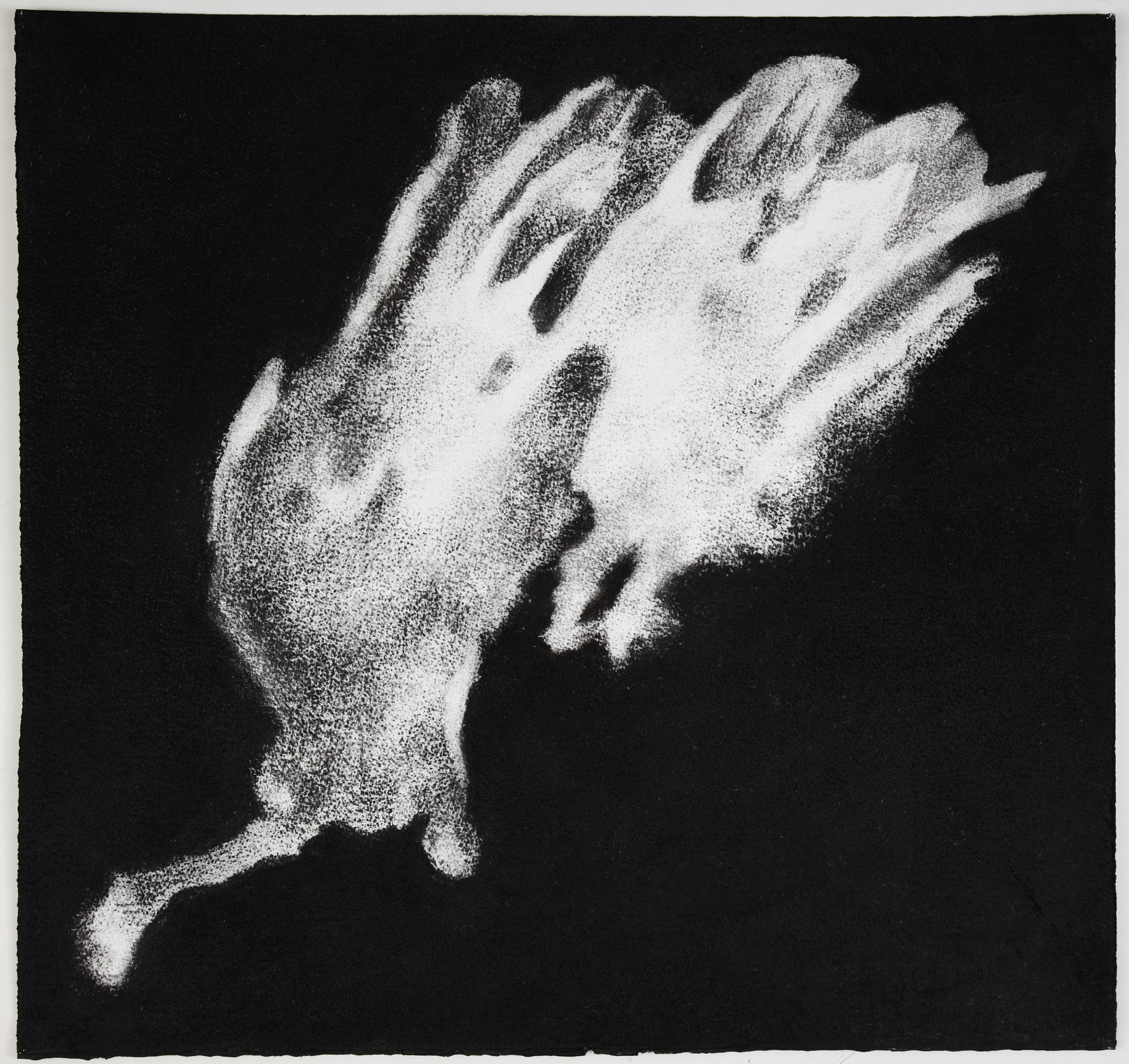  Sea sponge, 2012,&nbsp;charcoal on paper, 57 x 60 cm 