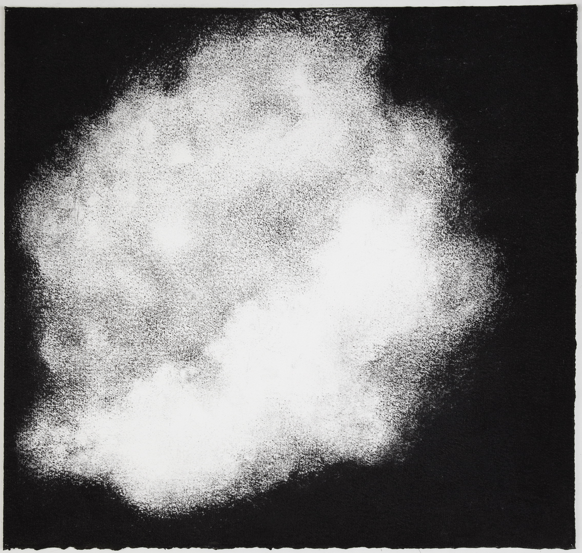  Sea sponge, 2012,&nbsp;charcoal on paper, 57 x 60 cm 