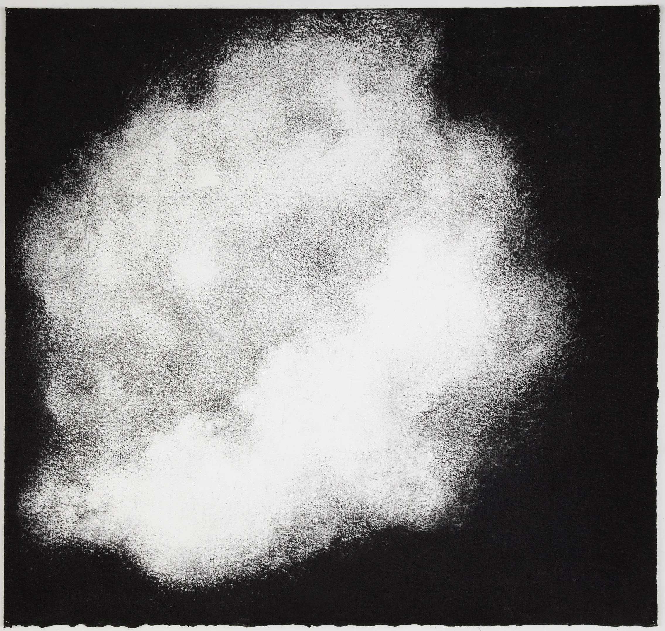 Sea sponge, 2012, charcoal on paper, 57 x 60 cm