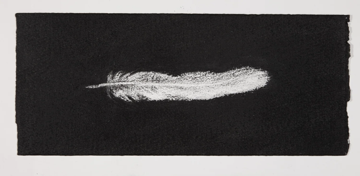 Feather, 2014, charcoal on paper, 13.5x31cm