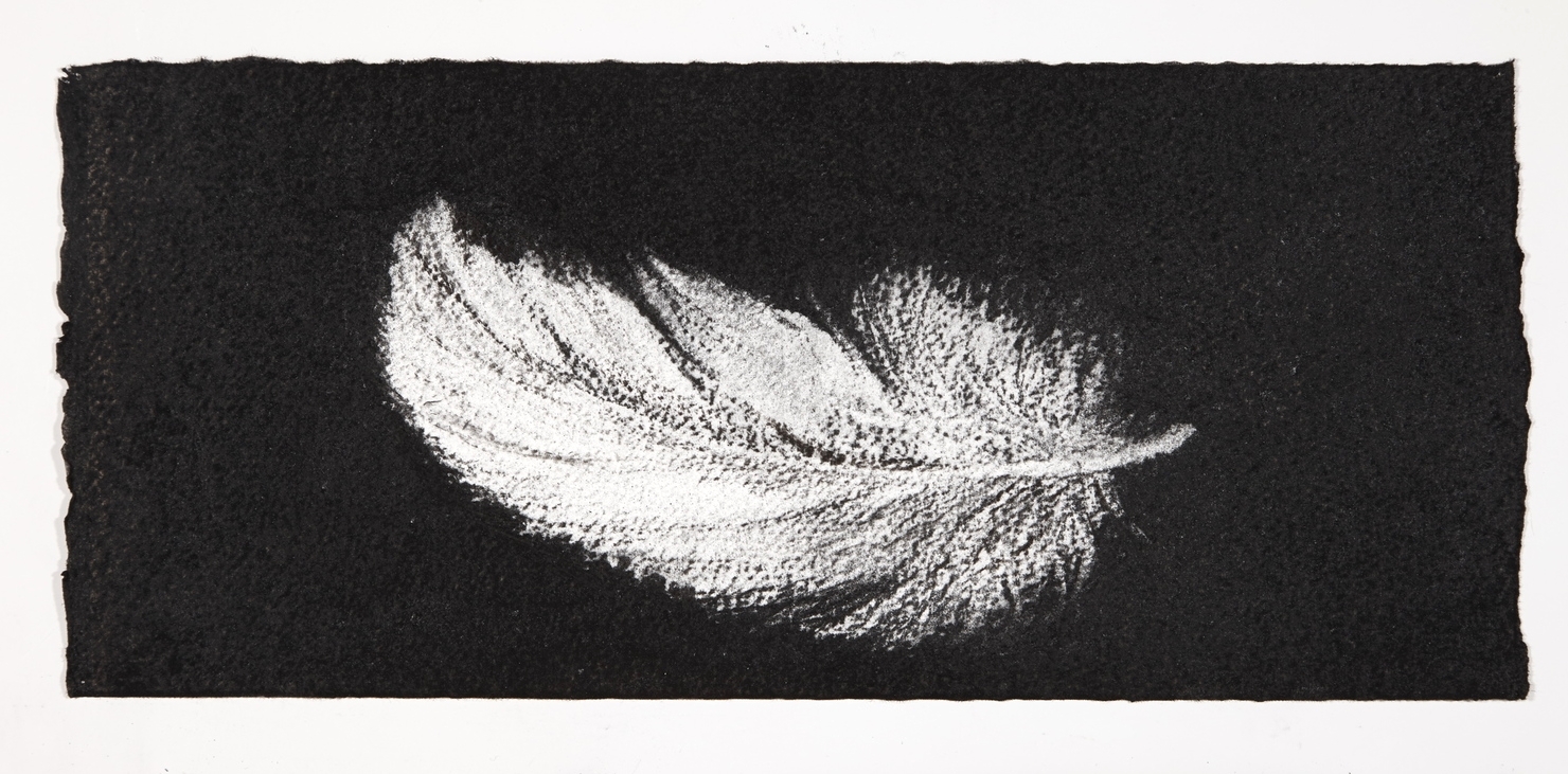 Feather, 2014, charcoal on paper, 13.5x31cm