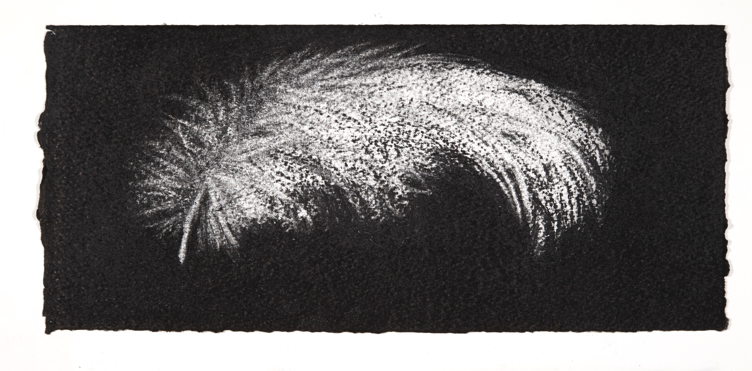 Feather, 2014, charcoal on paper, 13.5x31cm