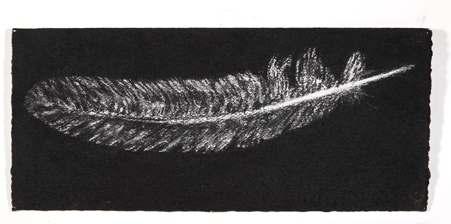 Feather, 2014, charcoal on paper, 13.5x31cm