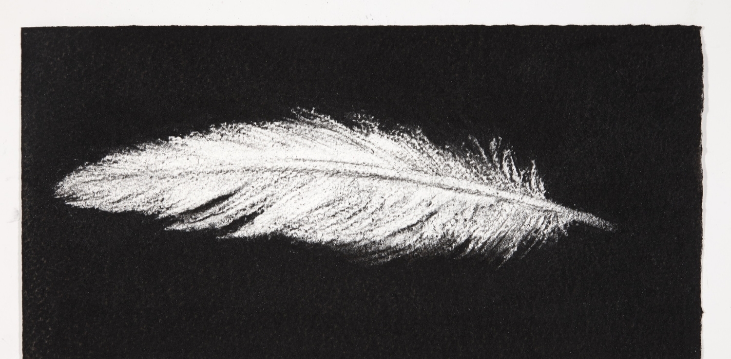Feather, 2014, charcoal on paper, 13.5x31cm