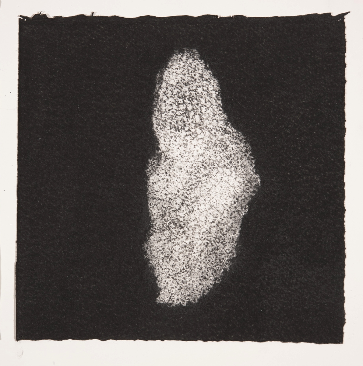  Coral, 2014, charcoal on paper, 19x19cm 