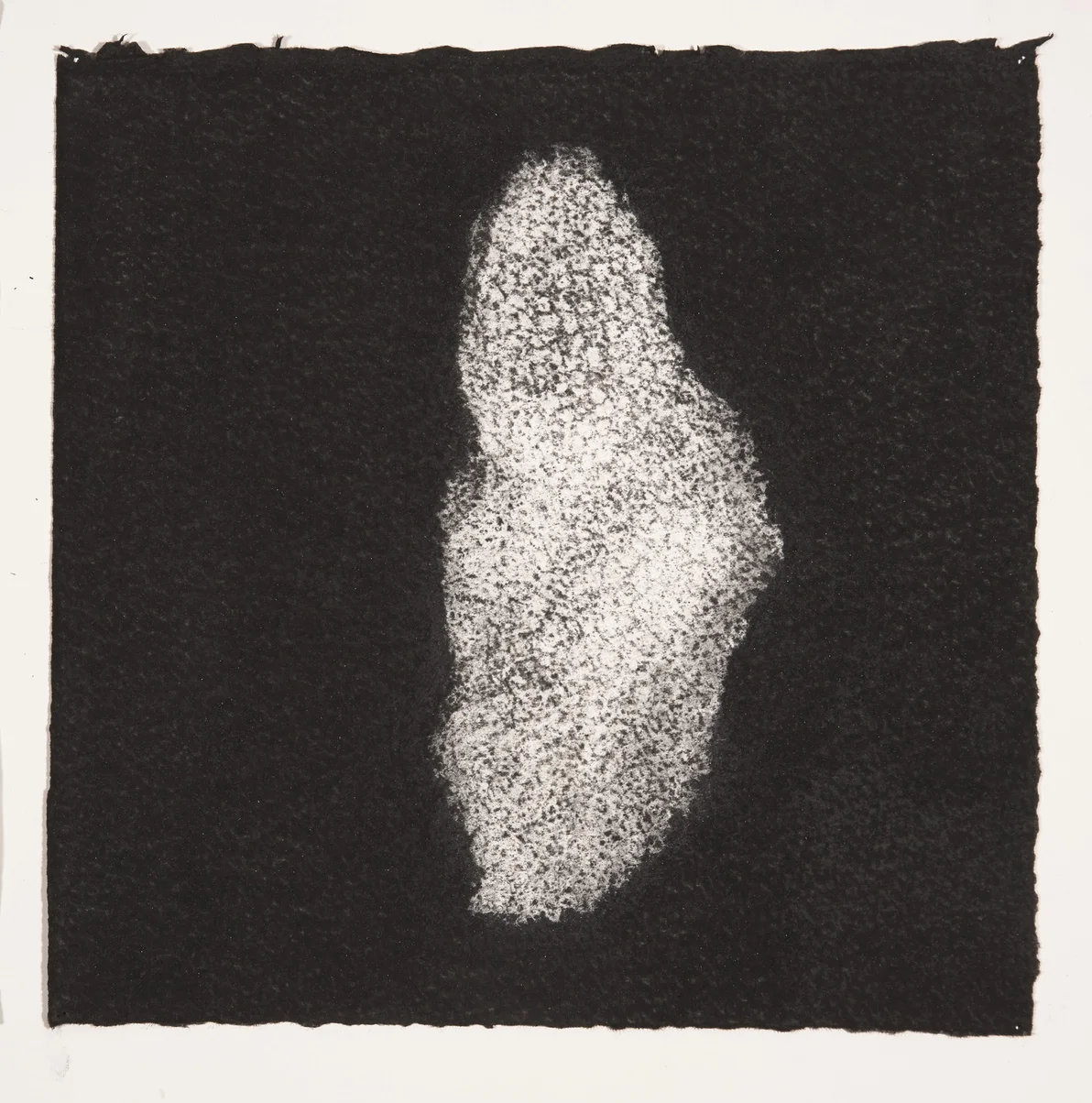 Coral, 2014, charcoal on paper, 19x19cm
