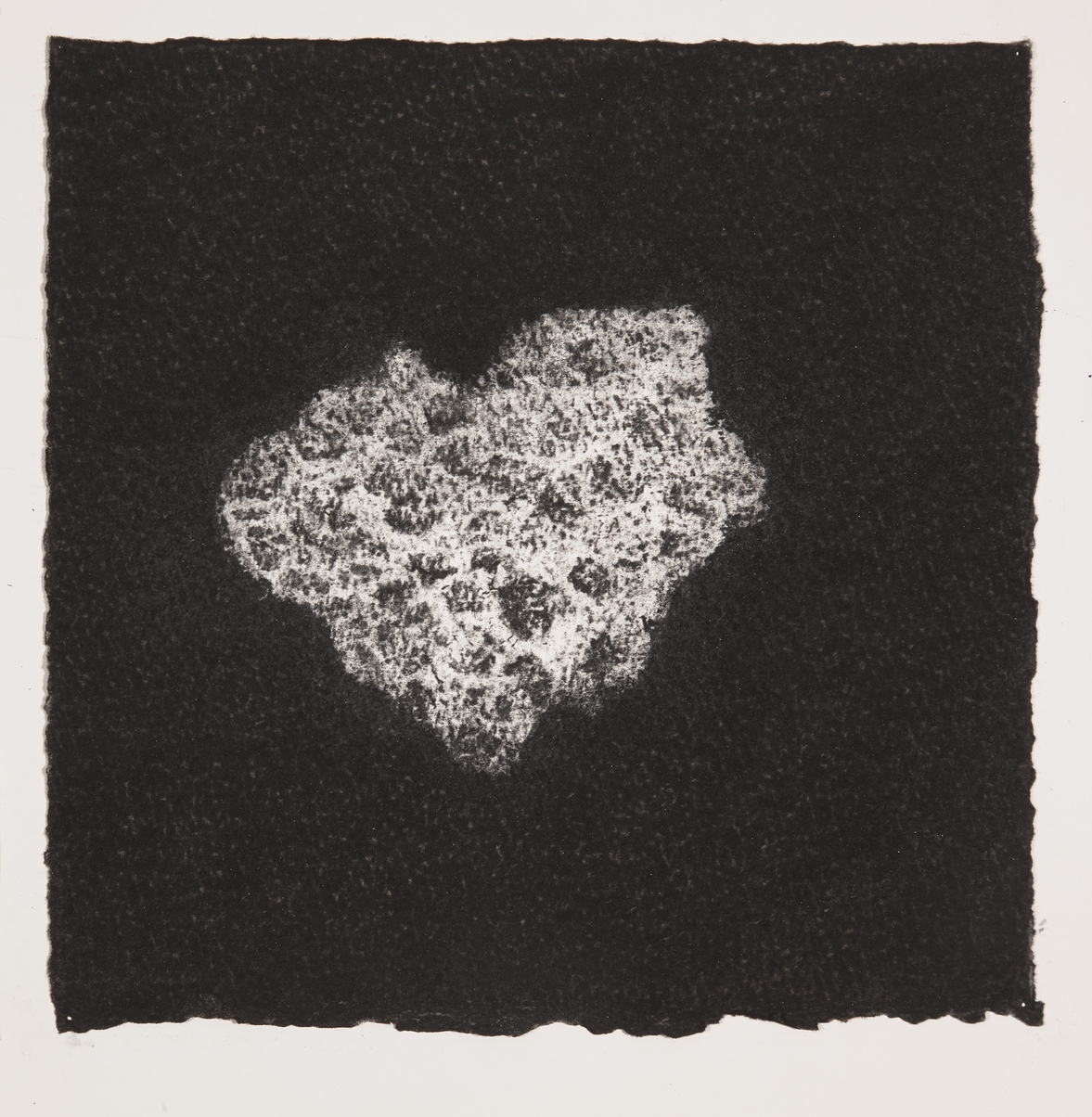  Coral, 2014, charcoal on paper, 19x19cm 