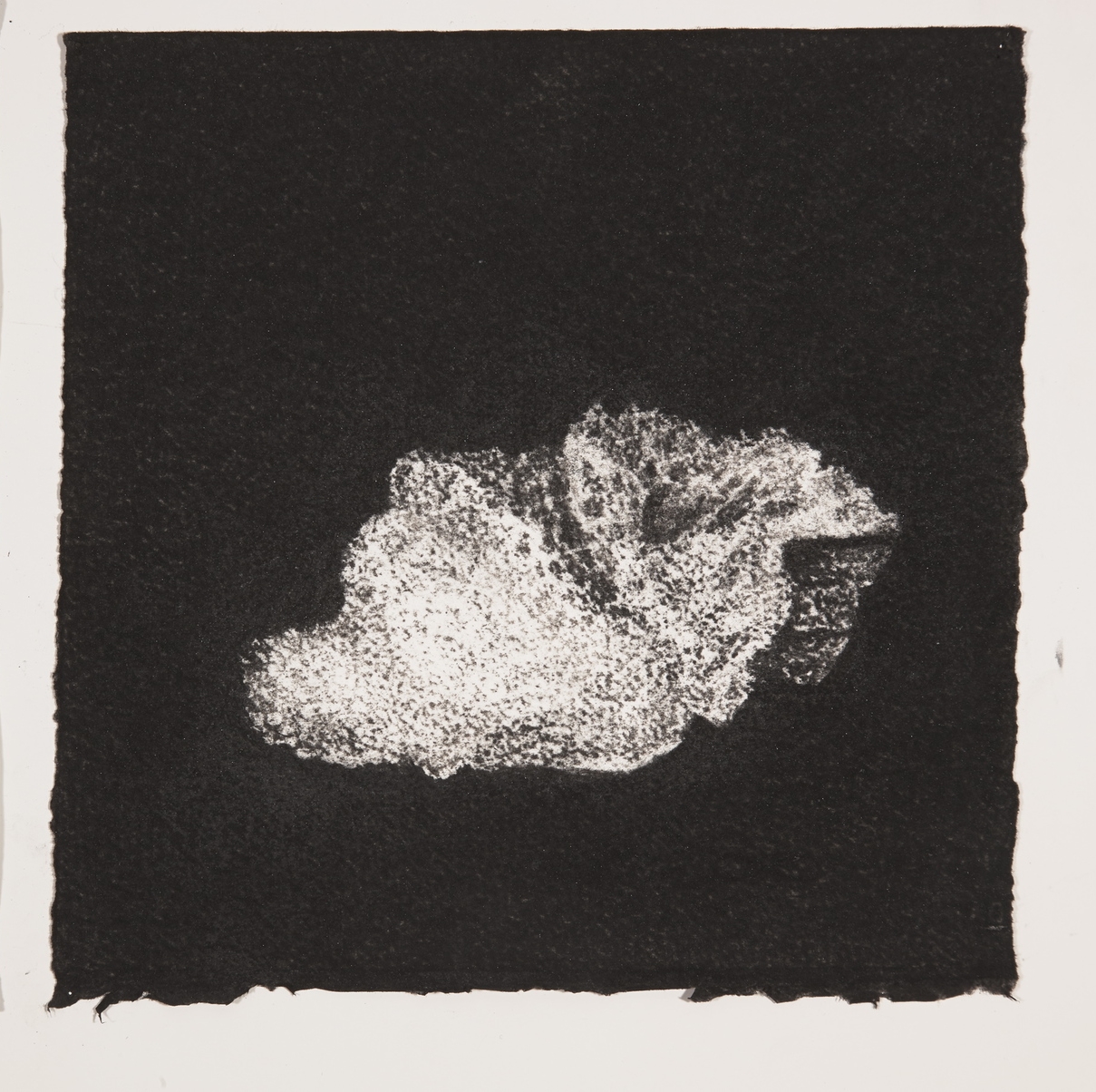  Coral, 2014, charcoal on paper, 19x19cm 