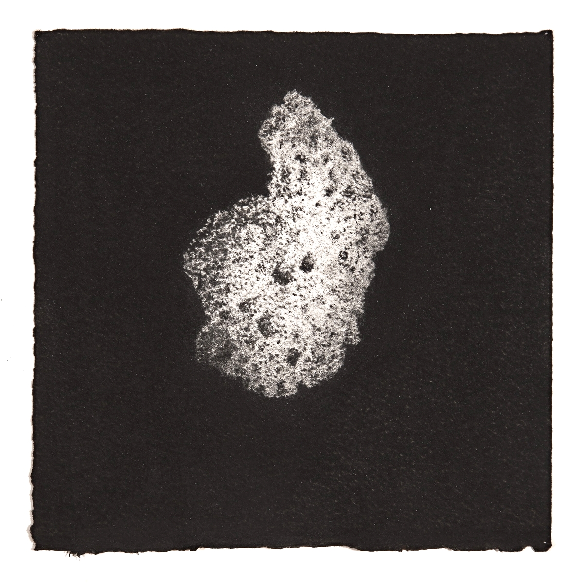  Coral, 2014, charcoal on paper, 19x19cm 