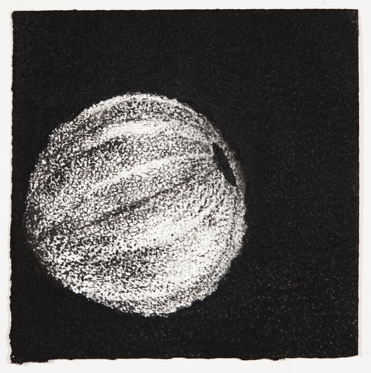  Urchin, 2014, charcoal on paper, 18x18cm 