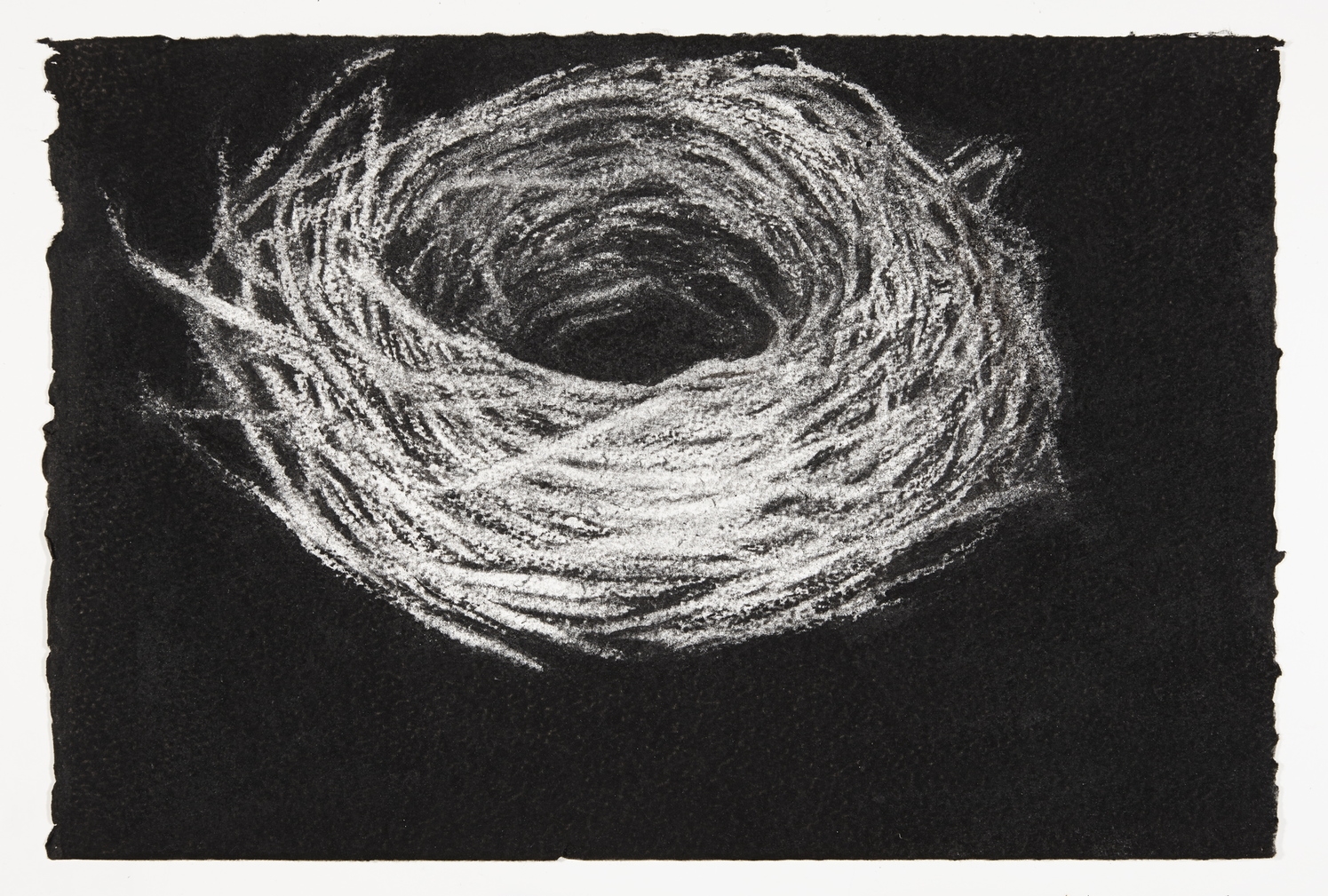 Nest, 2013-2014, charcoal on paper, 22x33cm