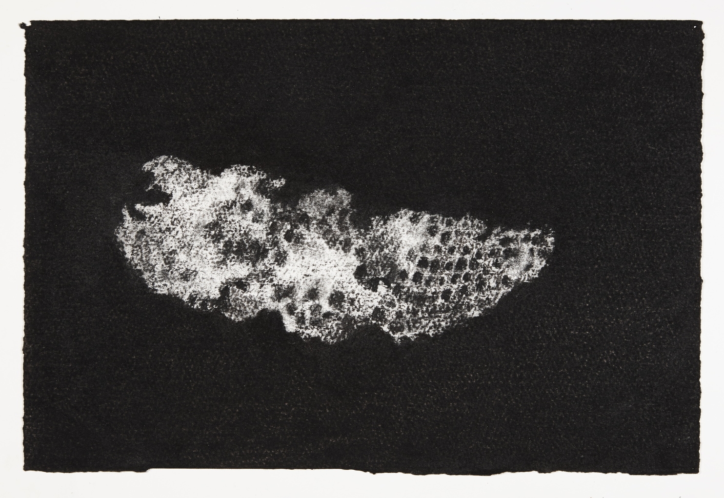 Wasp's nest, 2013-2014, charcoal on paper, 22x33cm