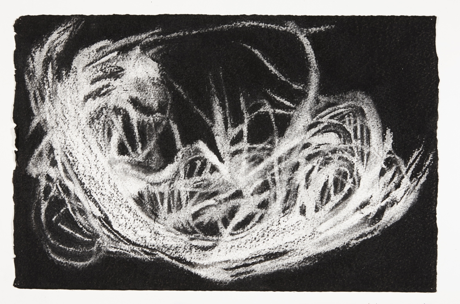 Nest, 2013-2014, charcoal on paper, 22x33cm