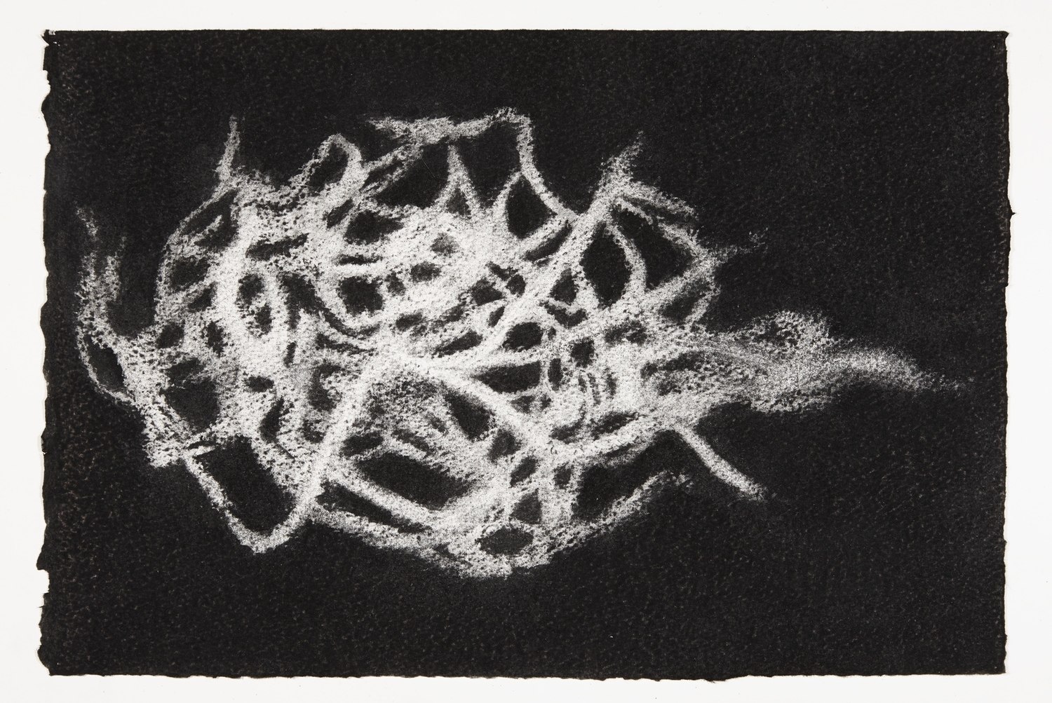 Nest, 2013-2014, charcoal on paper, 22x33cm