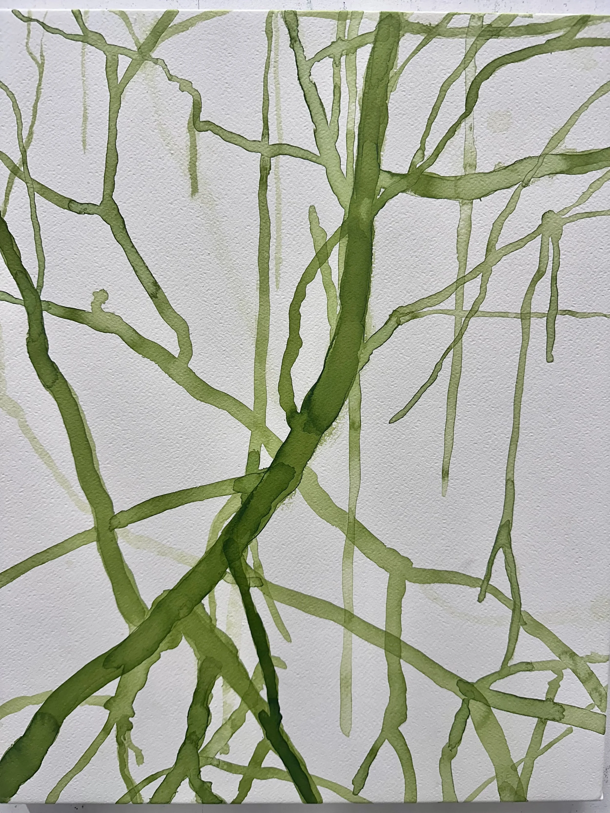   Mangrove VI  2026 ink on paper each 50 x 40 cm 