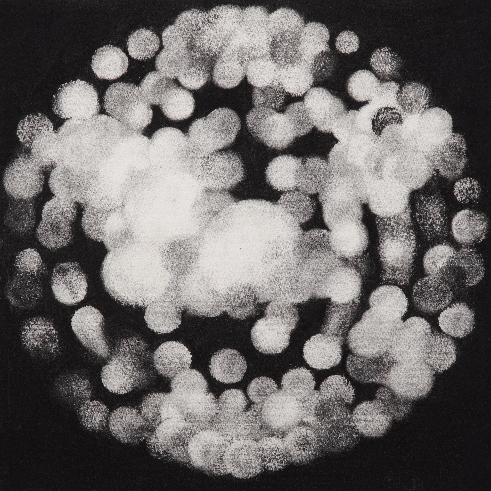 Celestial sphere, 2009, charcoal on paper, 40.5x 40.5cm