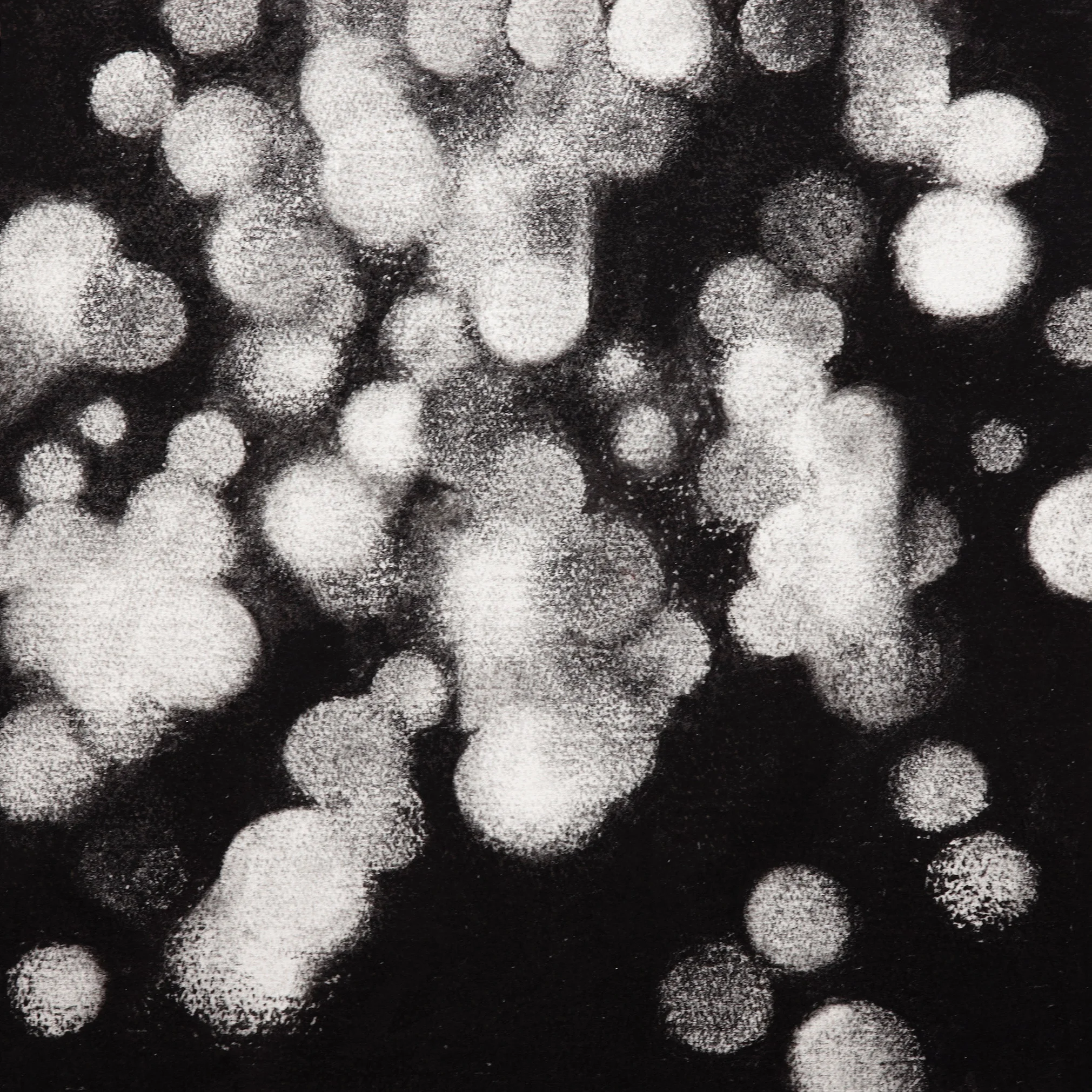 Descending, 2009, charcoal on paper, 40.5x 40.5cm