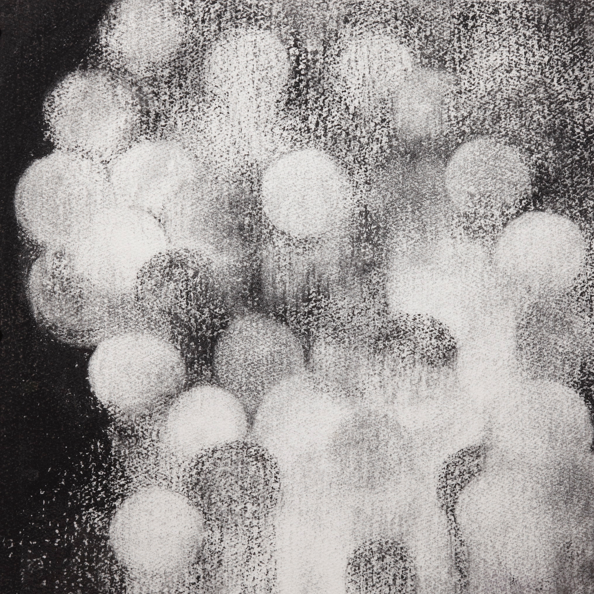  Disolving, 2009, charcoal on paper, 40.5x 40.5cm 