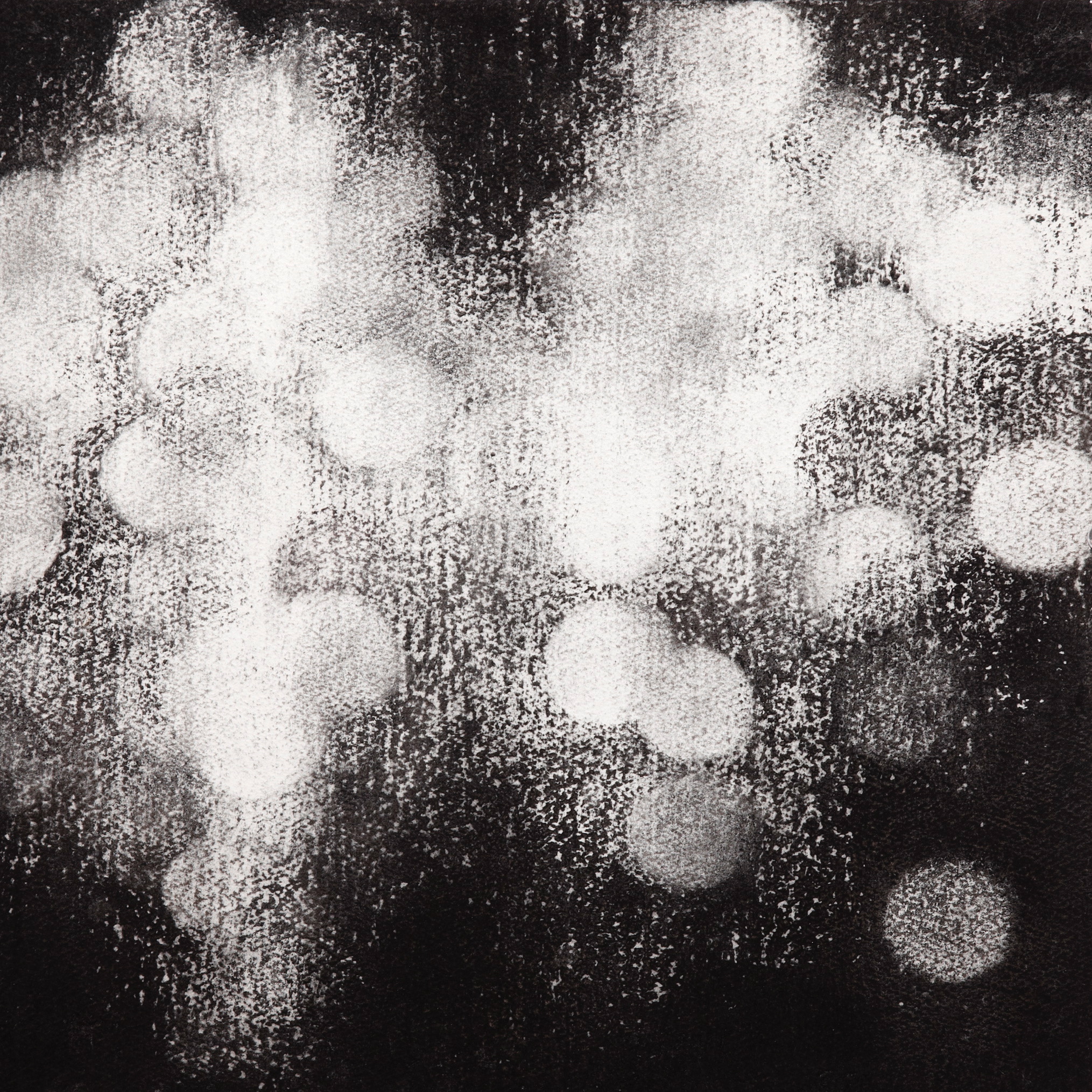  Pendants II, 2009, charcoal on paper, 40.5x 40.5cm 