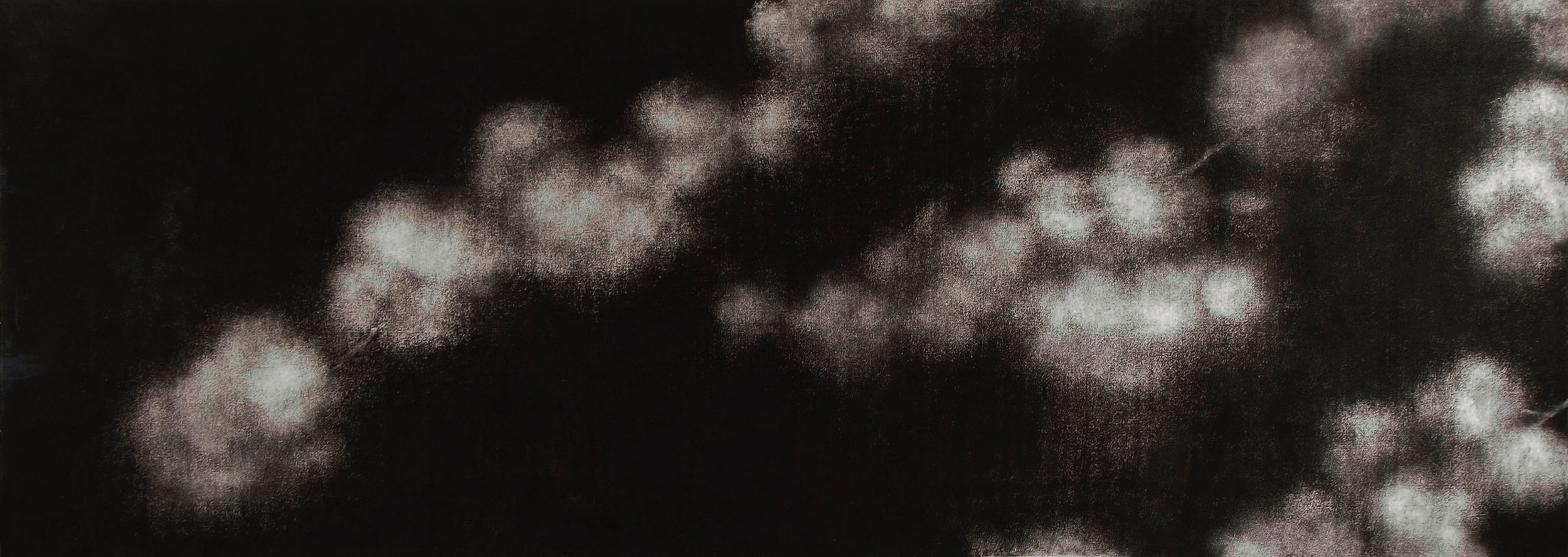 State of flowering, 2004 charcoal on paper 100 x 280cm