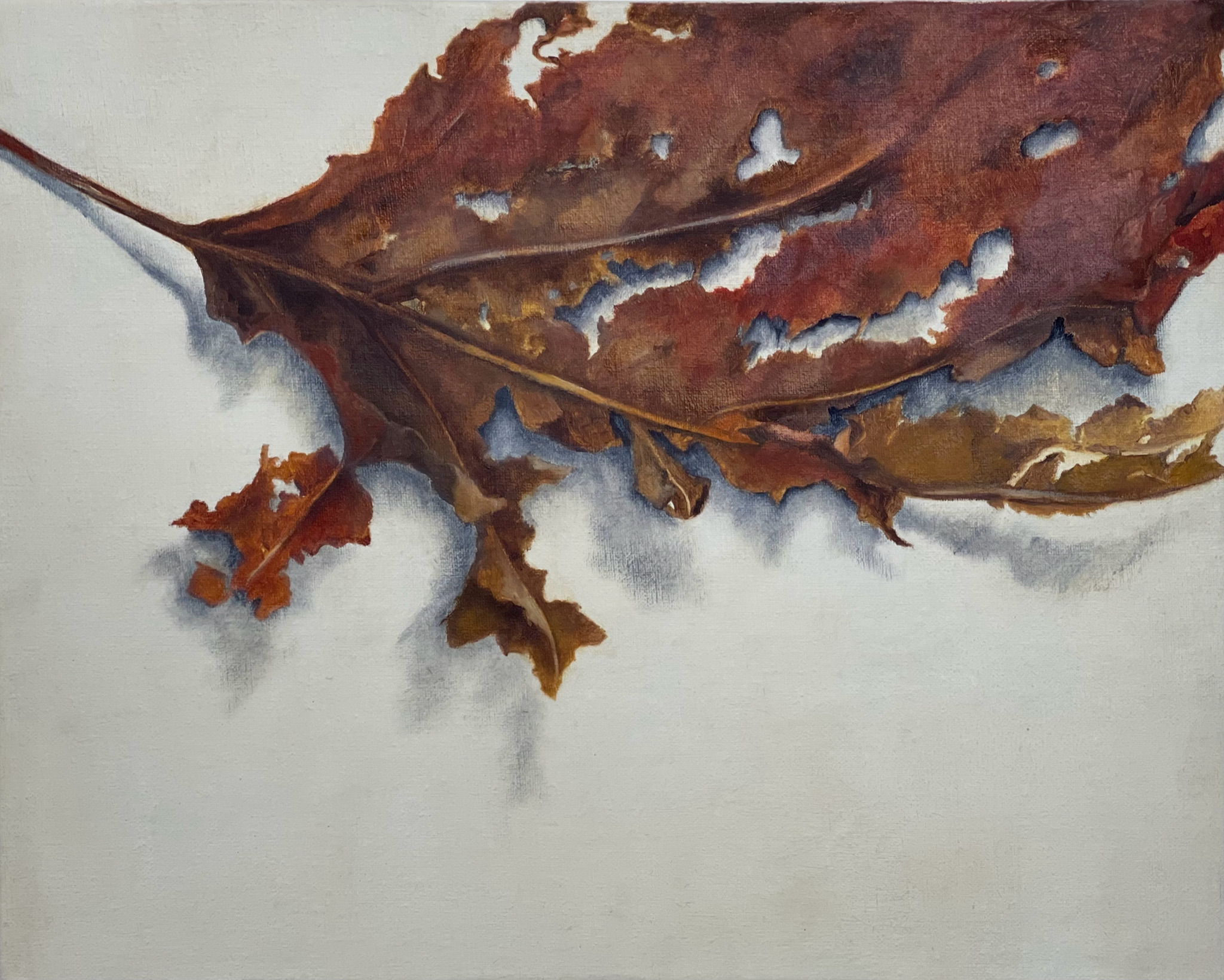 Autumn leaf II, 2020-2021, 51x41cm, oil on linen