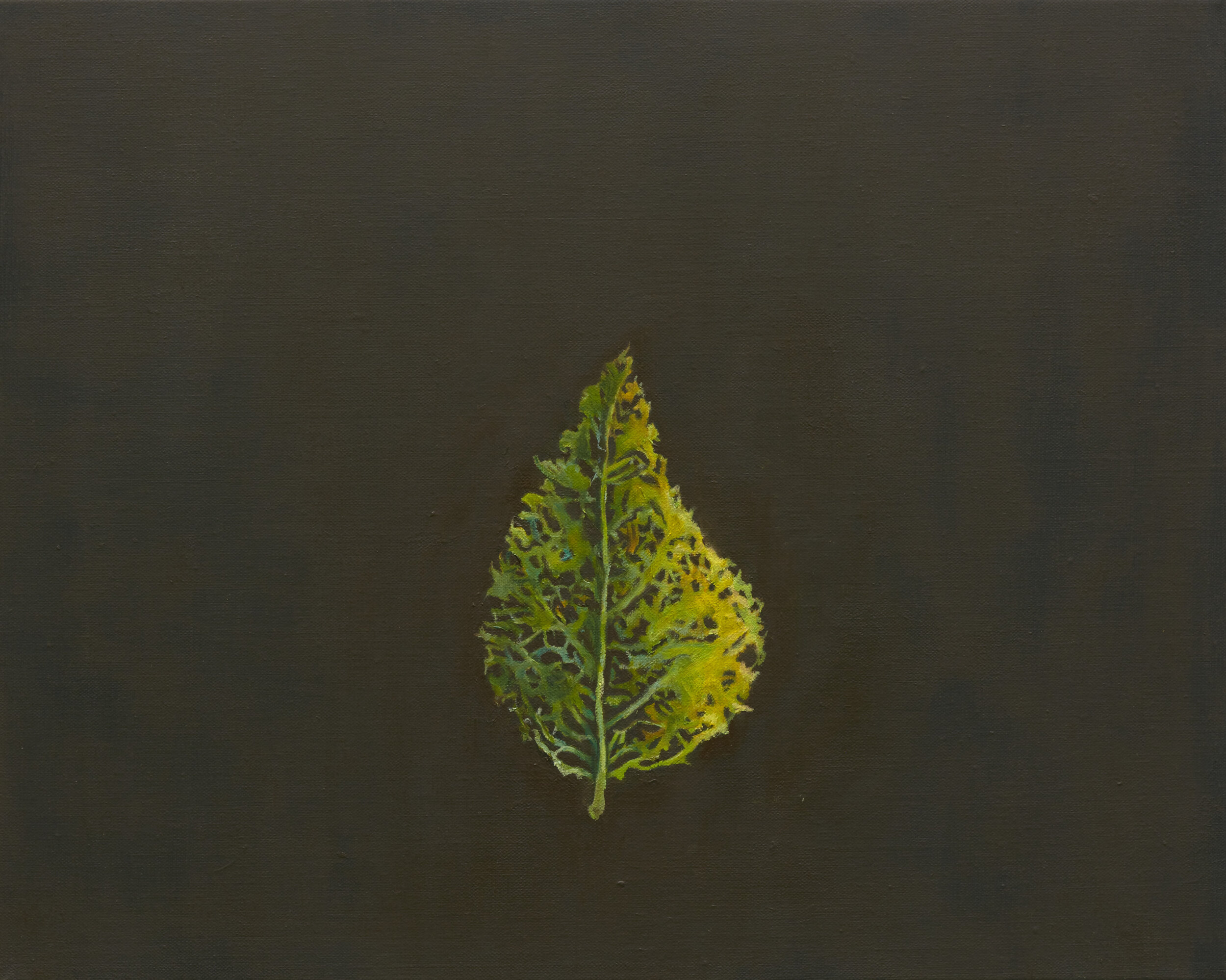 Autumn leaf II (dark), 2020-21 41x 51cm, oil on linen