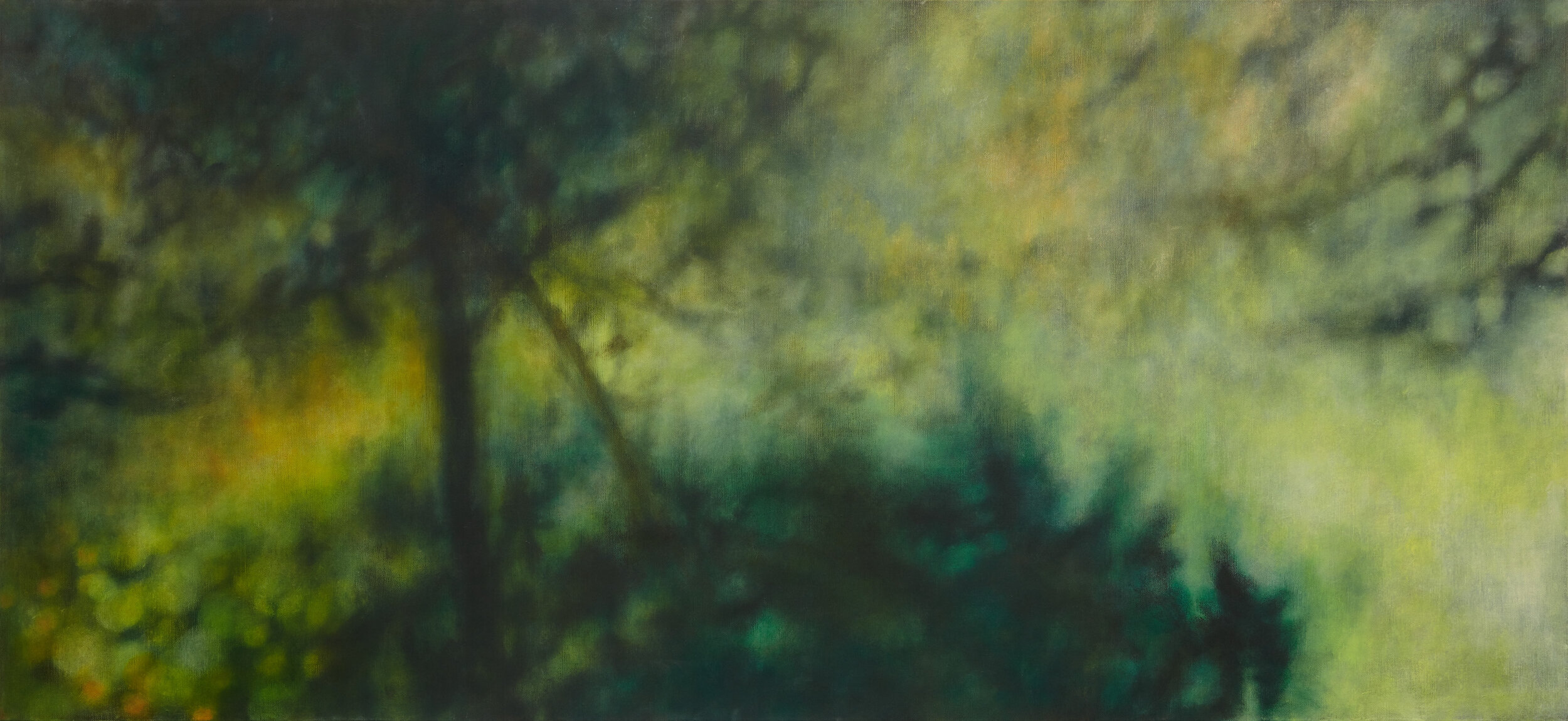 Bundanon rainforest, 2020-2021, 92x198cm, oil on linen