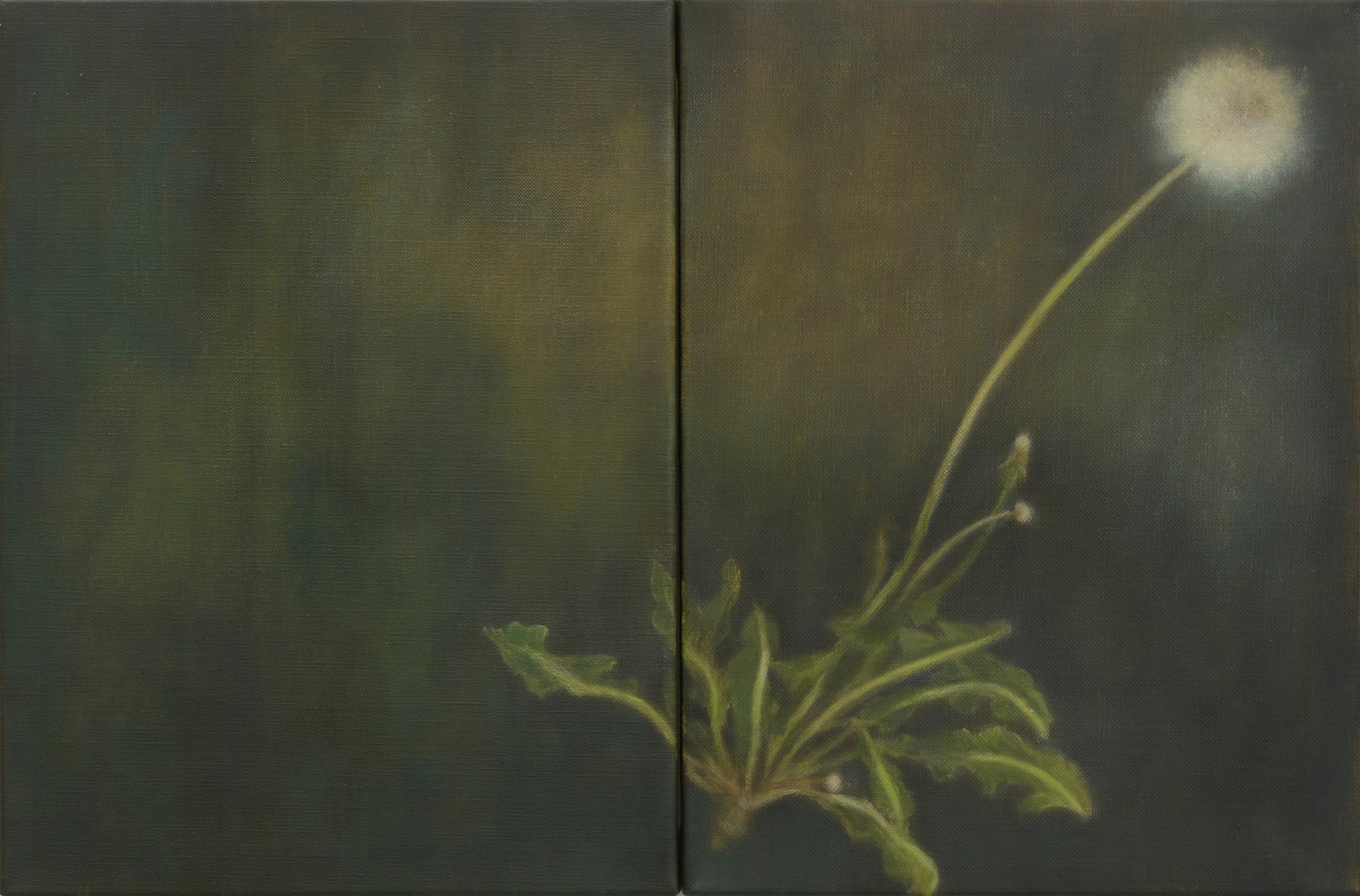 Dandelion 2022 Oil on Linen Canvas 41 x 62 cm