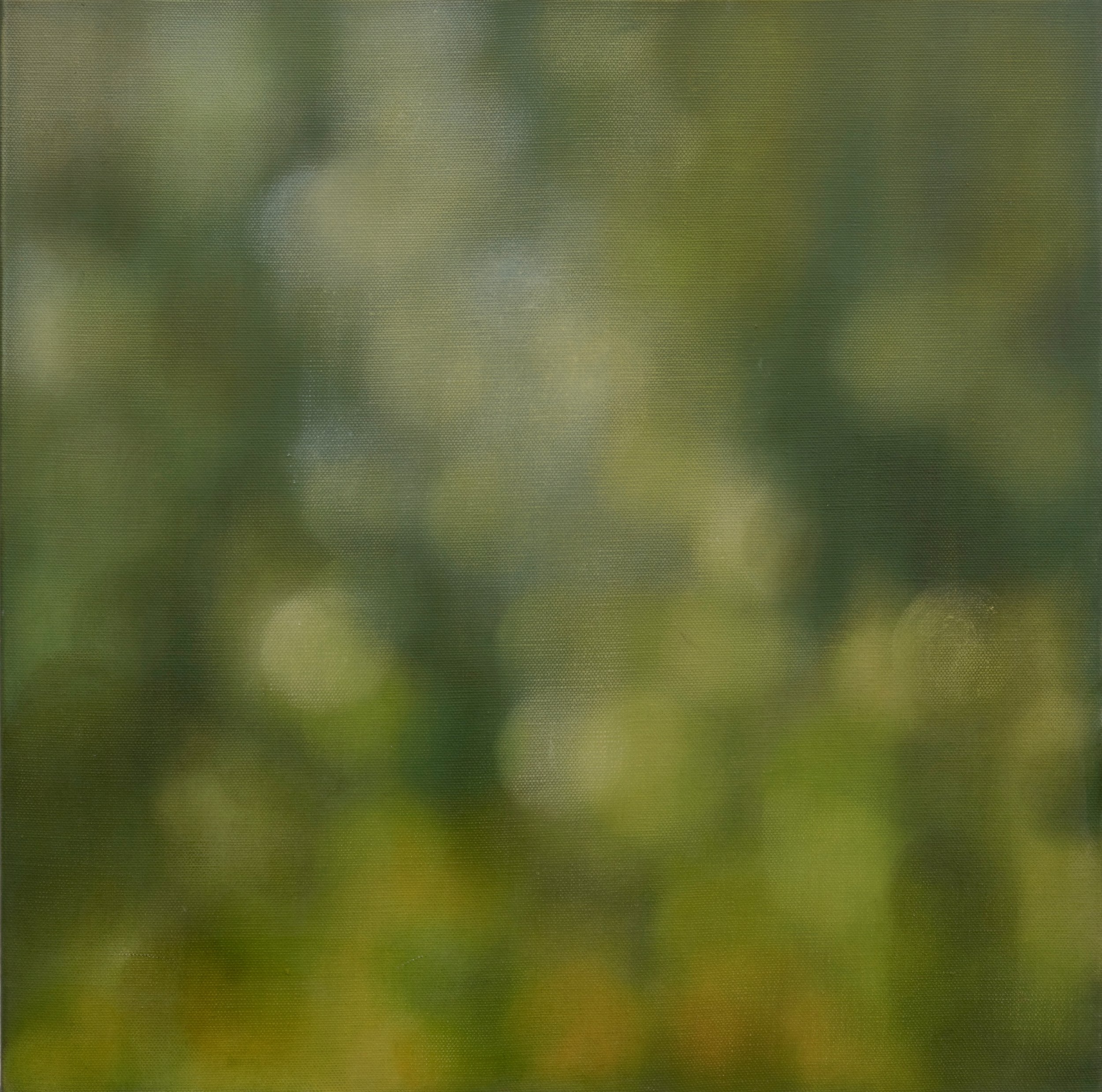 Descending Green Light 2010 Oil on Linen Canvas 61 x 61 cm