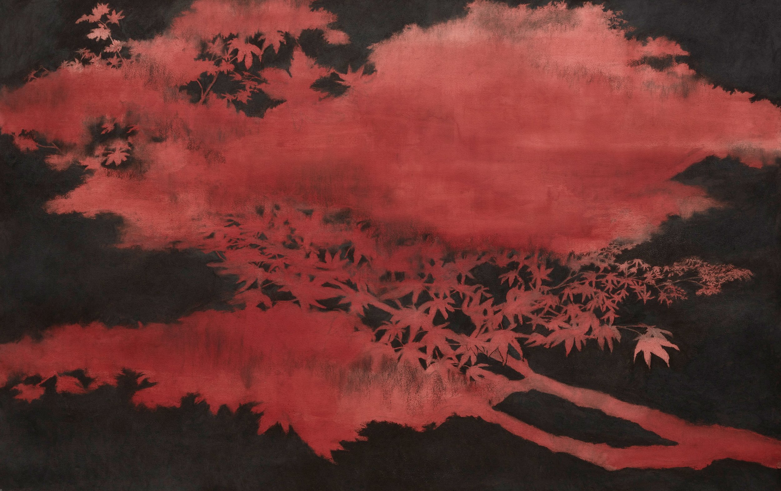 Jennifer Keeler-Milne Japanese Maple (Mt Wilson) 2022 charcoal on prepared paper 114 x 180cm.jpg