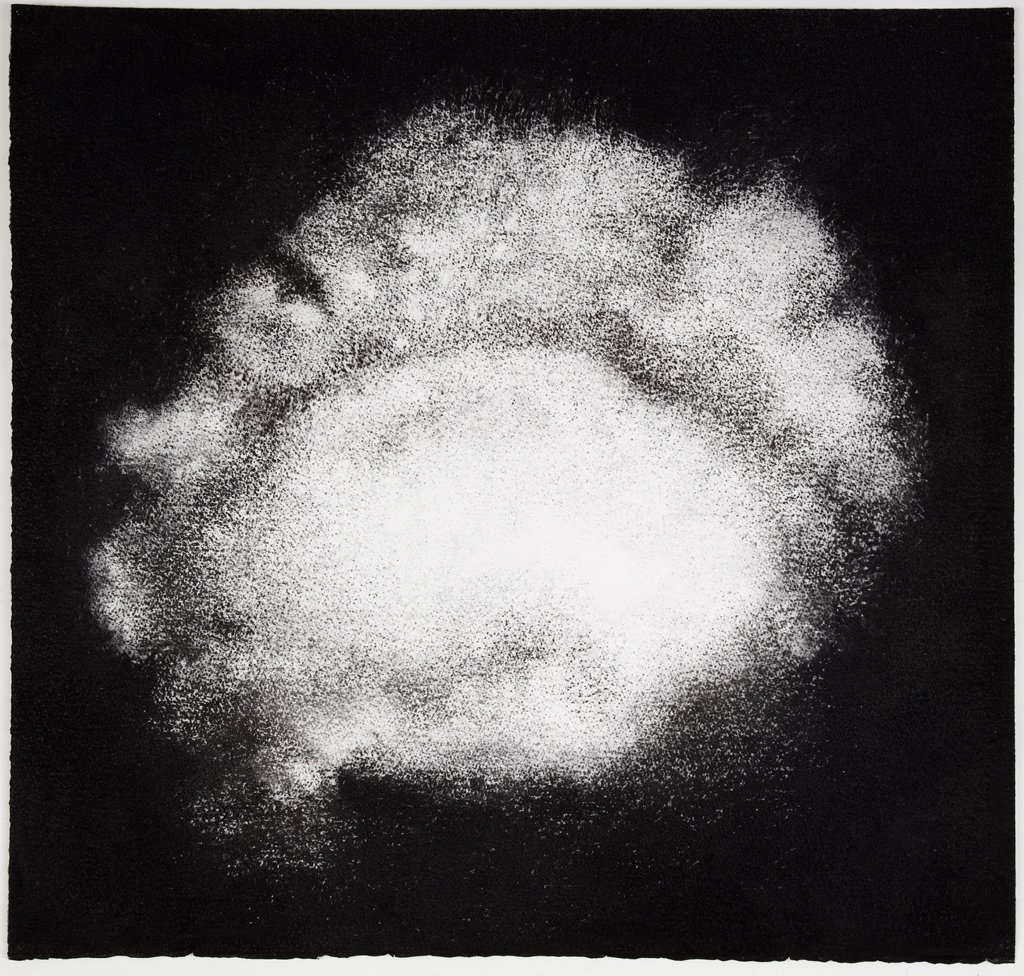 Jennifer Keeler-Milne Sea sponge # 2 2012 charcoal on paper 57 x 60 cm.jpg