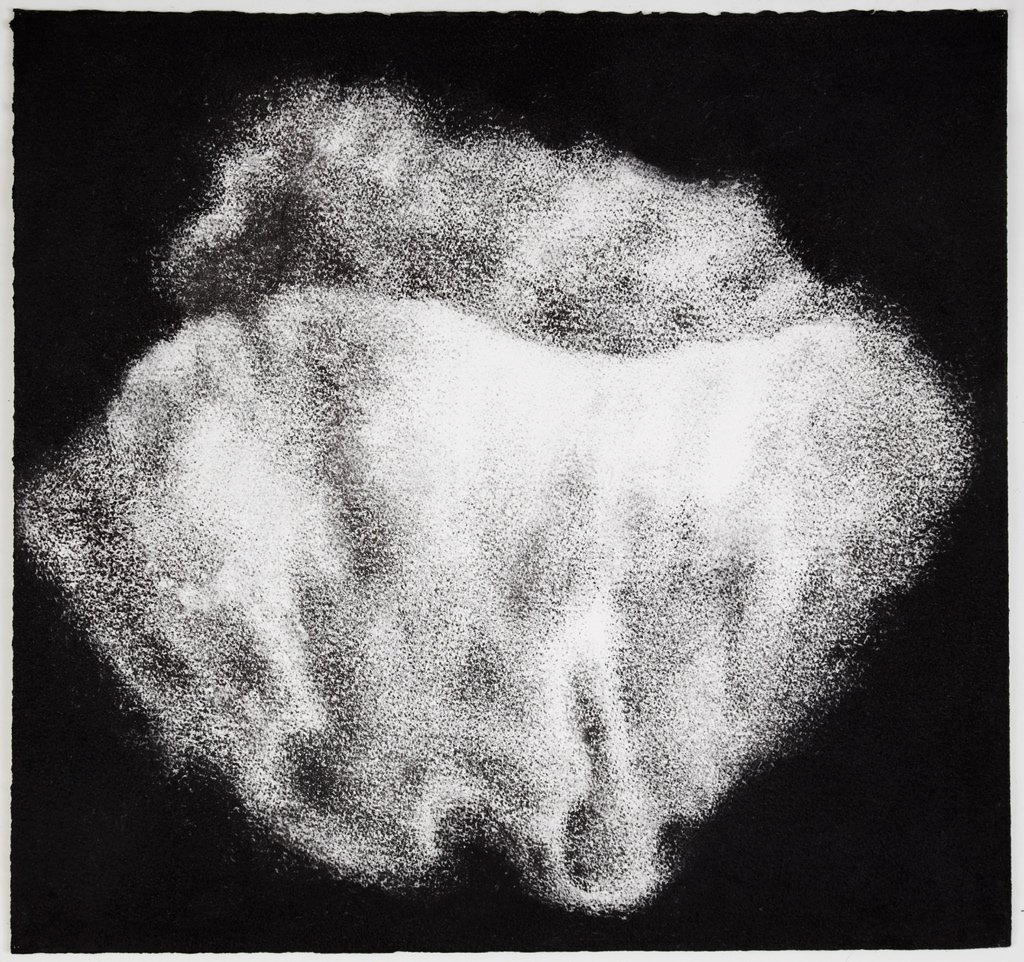 Jennifer Keeler-Milne Sea sponge # 5 2012 charcoal on paper 57 x 60 cm.jpg