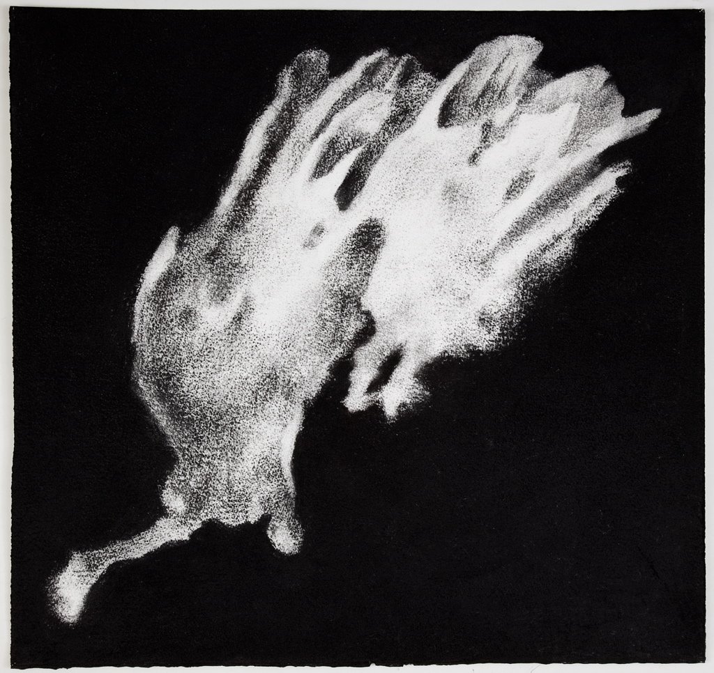 Jennifer Keeler-Milne Sea sponge # 9 2012 charcoal on paper 57 x 60 cm.jpg