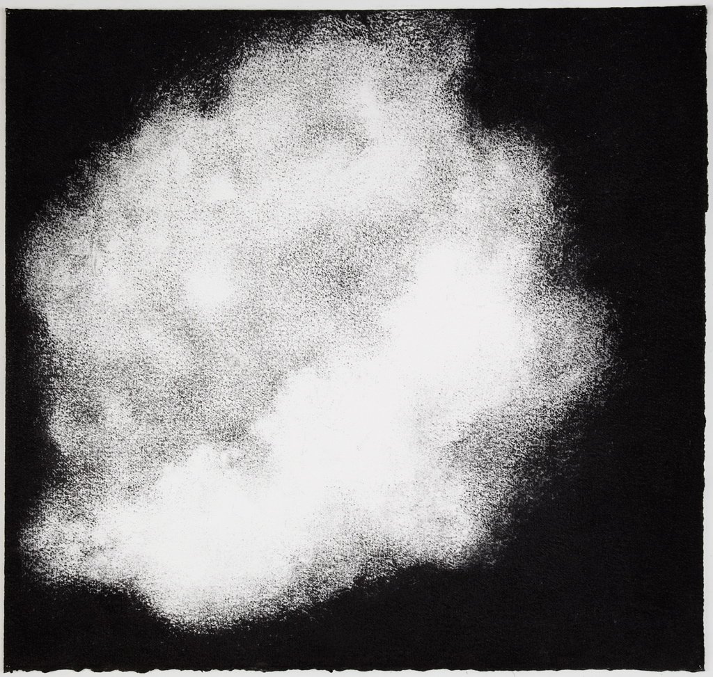 Jennifer Keeler-Milne Sea sponge # 10 2012 charcoal on paper 57 x 60 cm.jpg