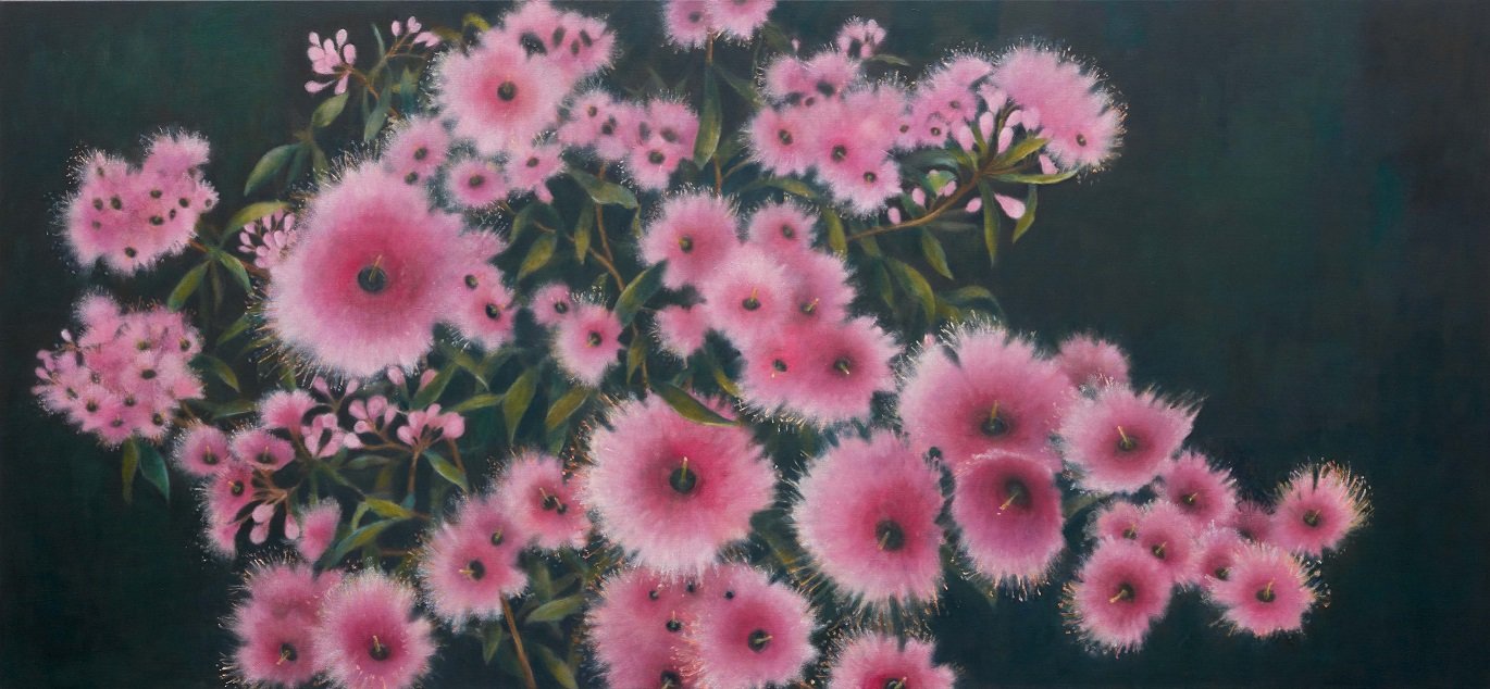 Gum blossoms (Corymbia ficifolia), 2021, 92x198cm. oil on linen