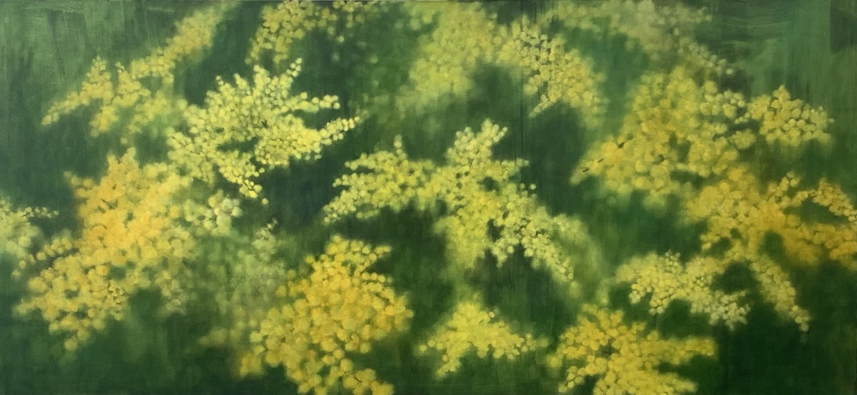 Golden Wattle, 2022, 92x198cm, oil on linen