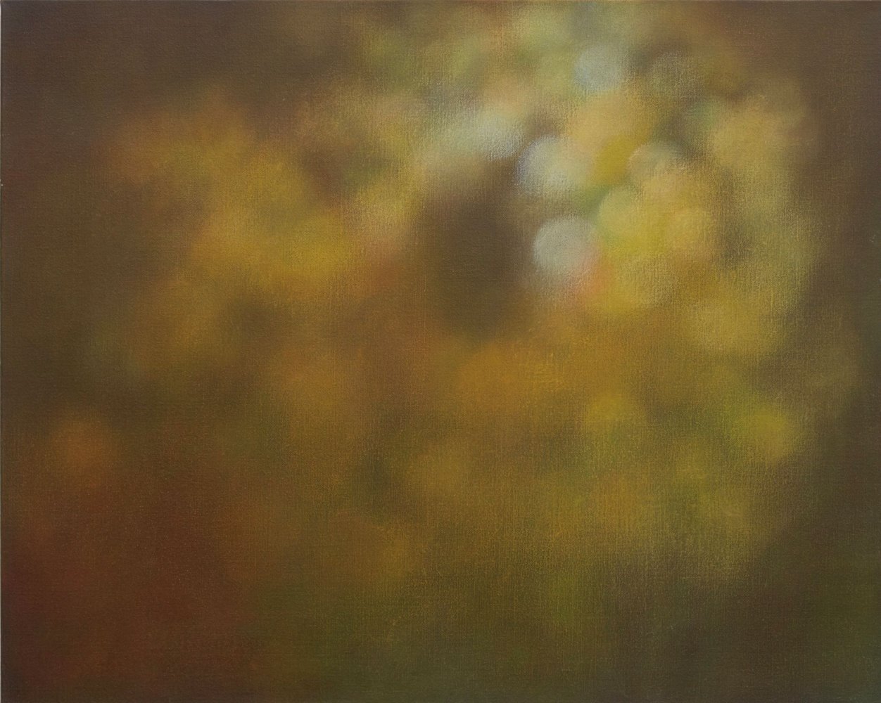 Ephemeral circle of light, 2012, 61x76cm, oil on linen