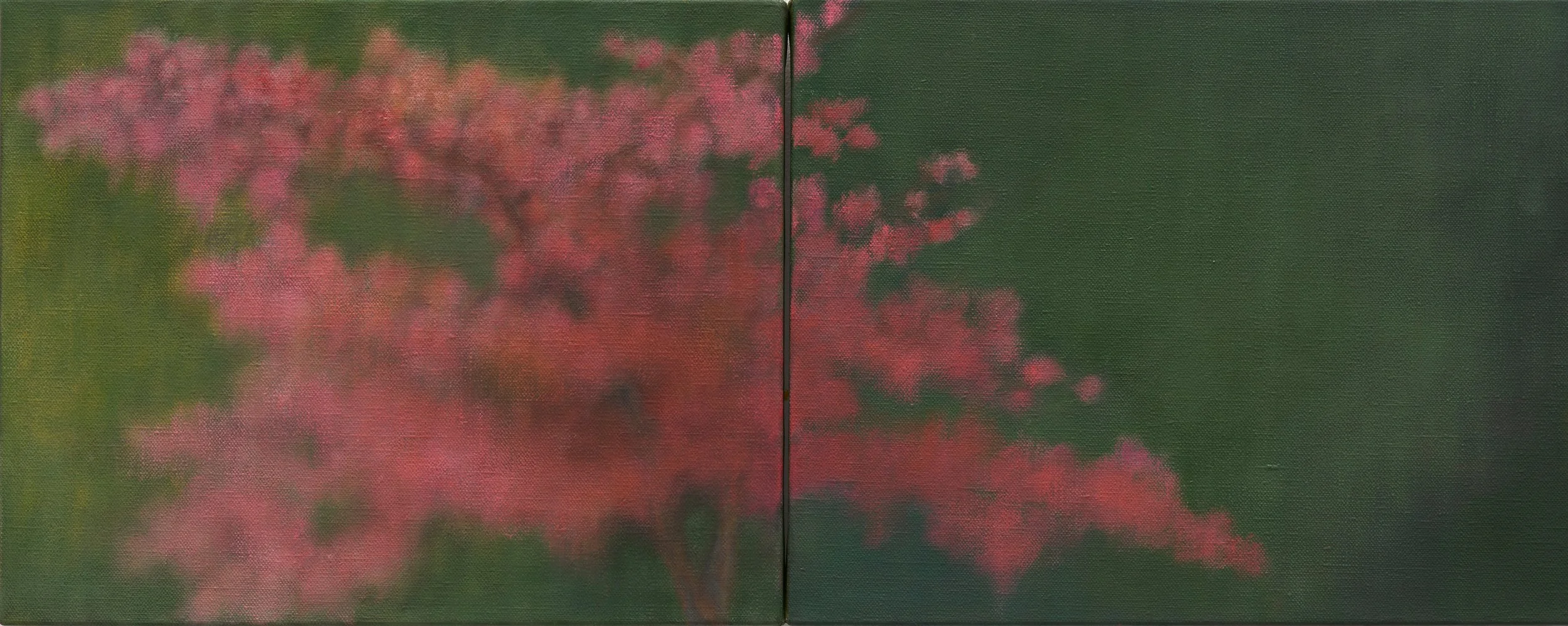   Blossom (diptych)  2025 oil on linen 41 x 102 cm 