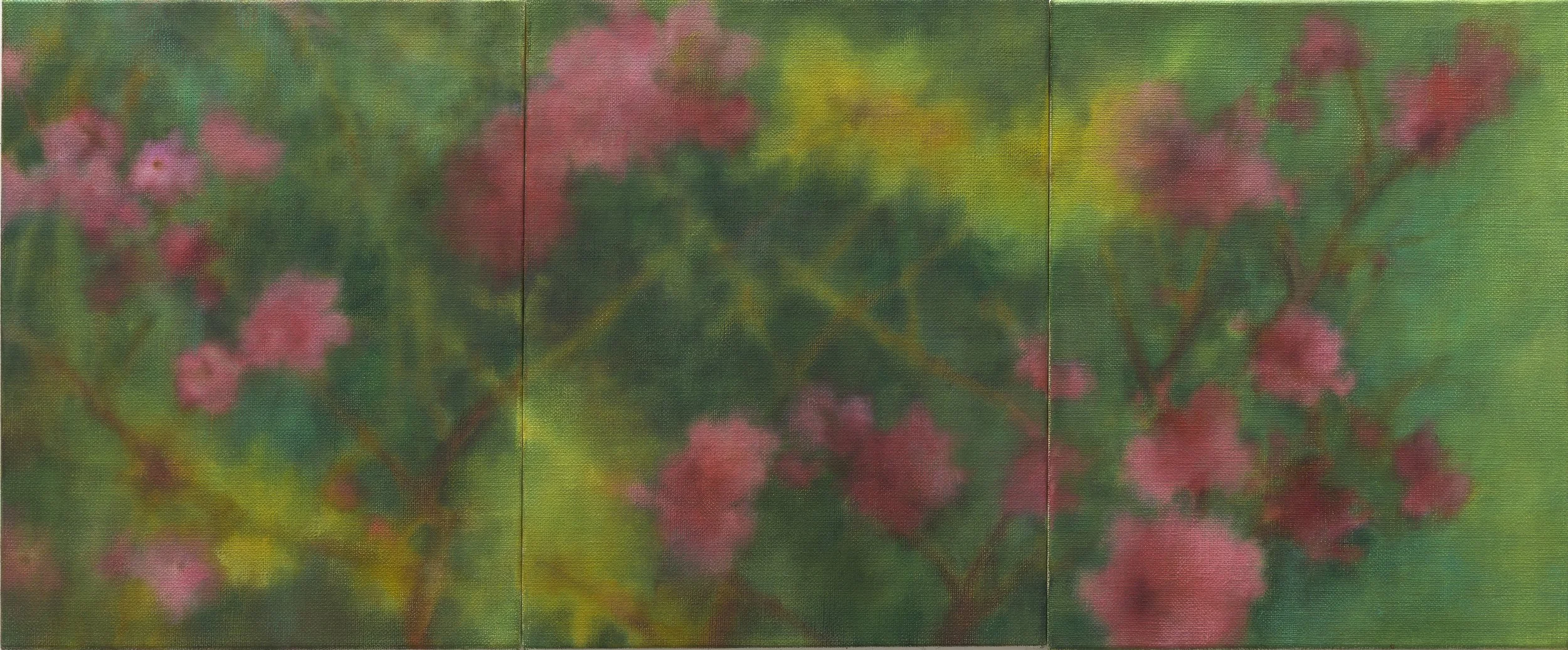 Pink bellflower (triptych) 51x123cm oil on linen 2025